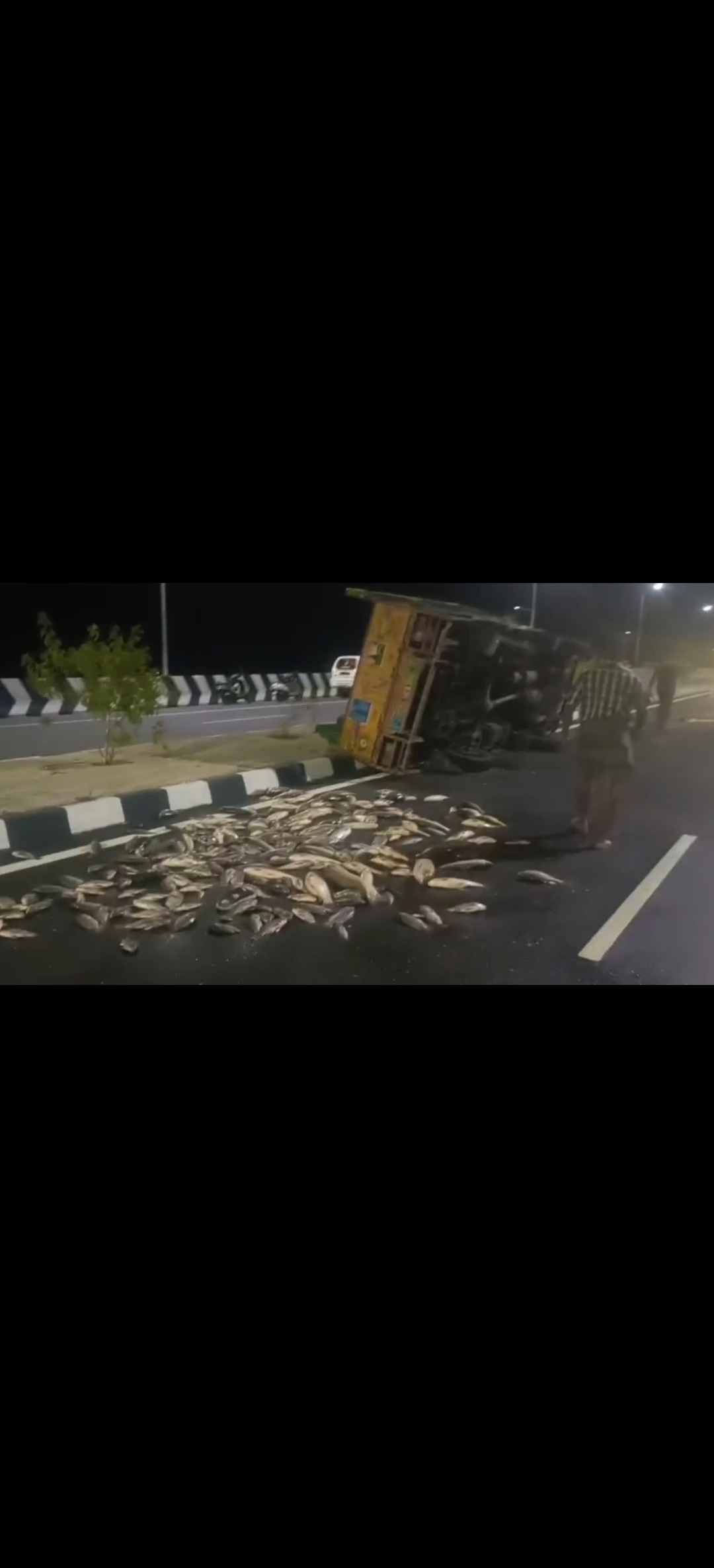 ஸ்ரீவில்லிபுத்தூர் அருகே டயர் வெடித்து மீன் லாரி கவிழ்ந்தது: 600 கிலோ மீன்கள் சாலையில் சிதறி வீணானது