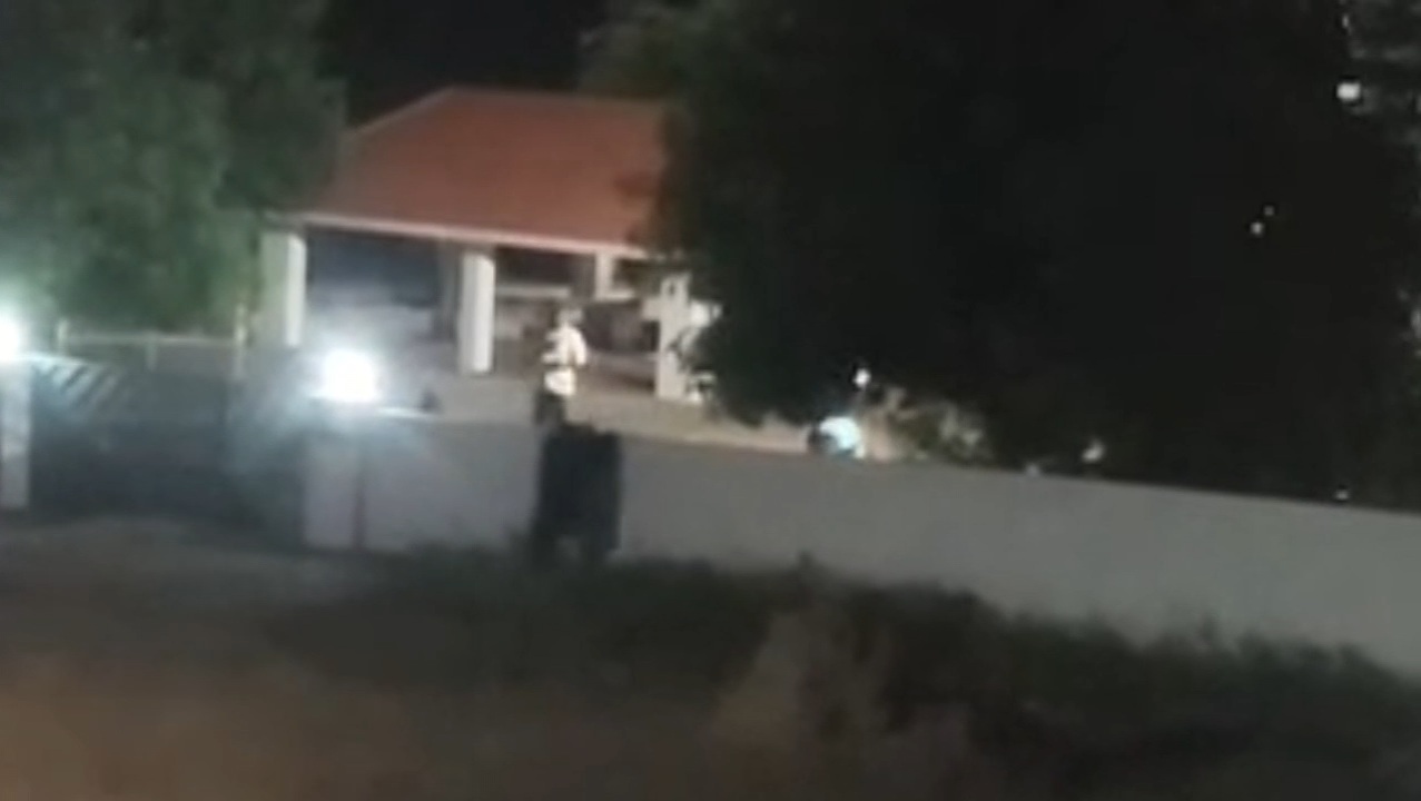வி.கே.புரம் டாணாவில் குடியிருப்பு பகுதிக்குள் குட்டியுடன் புகுந்த கரடியால் பொதுமக்கள் அச்சம்
