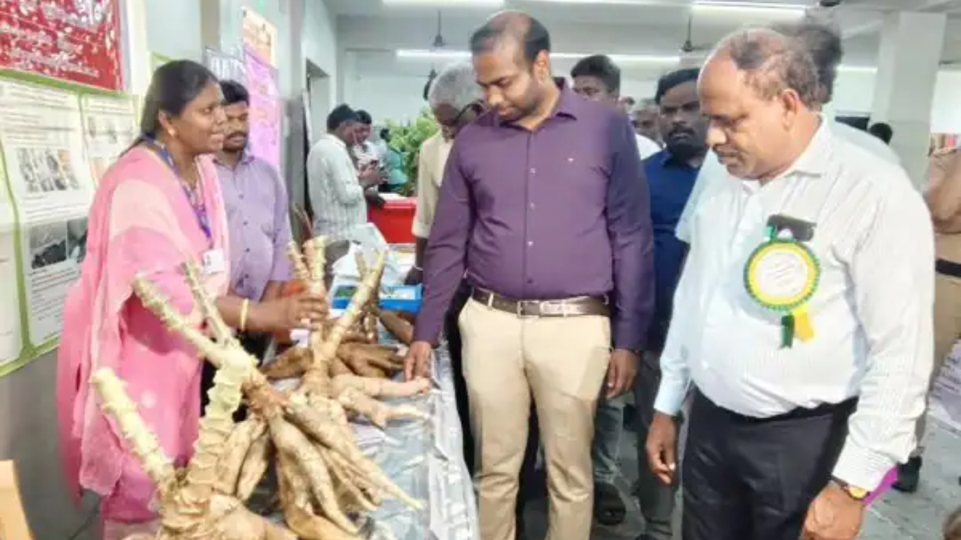 விவசாயிகளுக்கு கைகொடுக்கும் நவீன தொழில்நுட்பம்: முந்திரி, மரவள்ளி சாகுபடி கருத்தரங்கம்