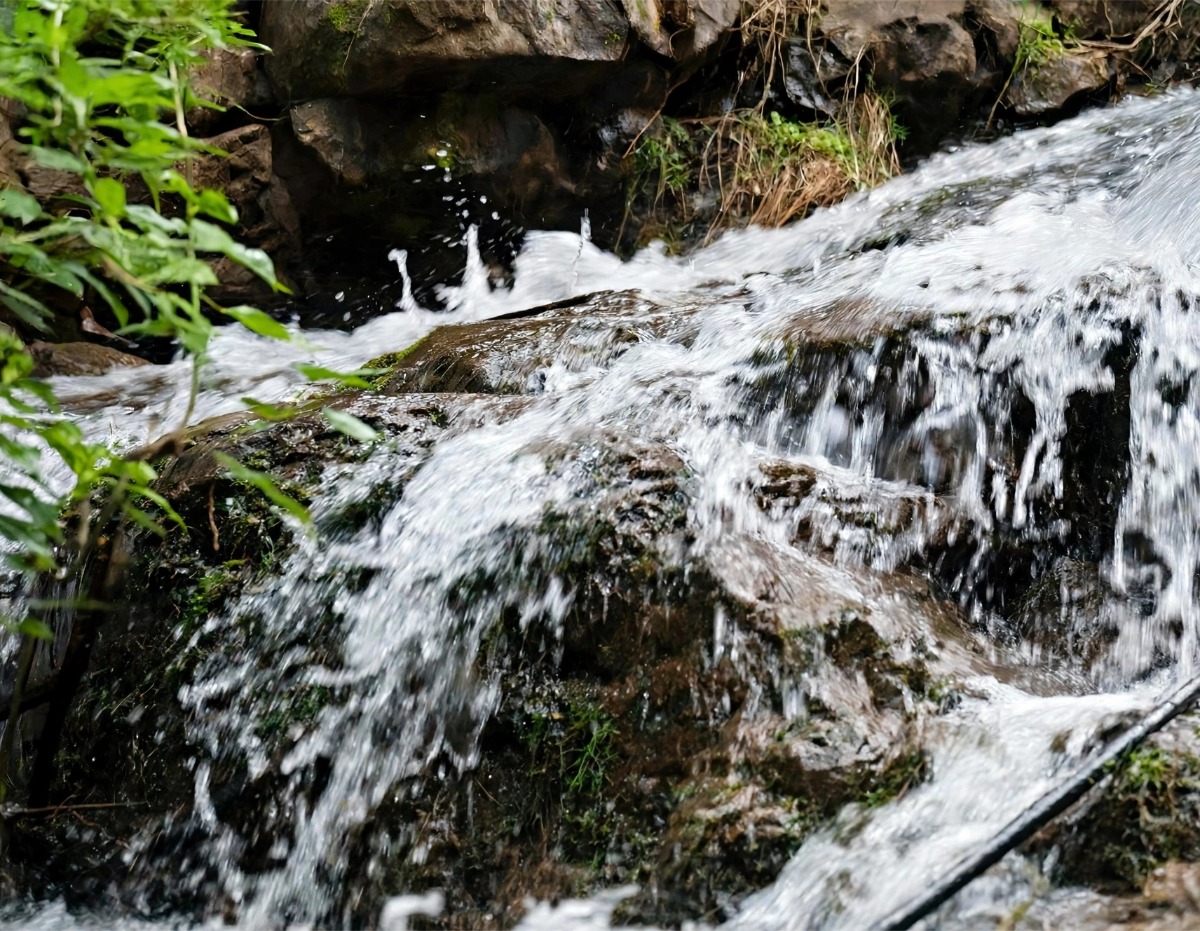 திருவண்ணாமலை தீப மலை சிற்றருவிகளில் ஆர்ப்பரித்துக் கொட்டும் வெள்ள நீர்!