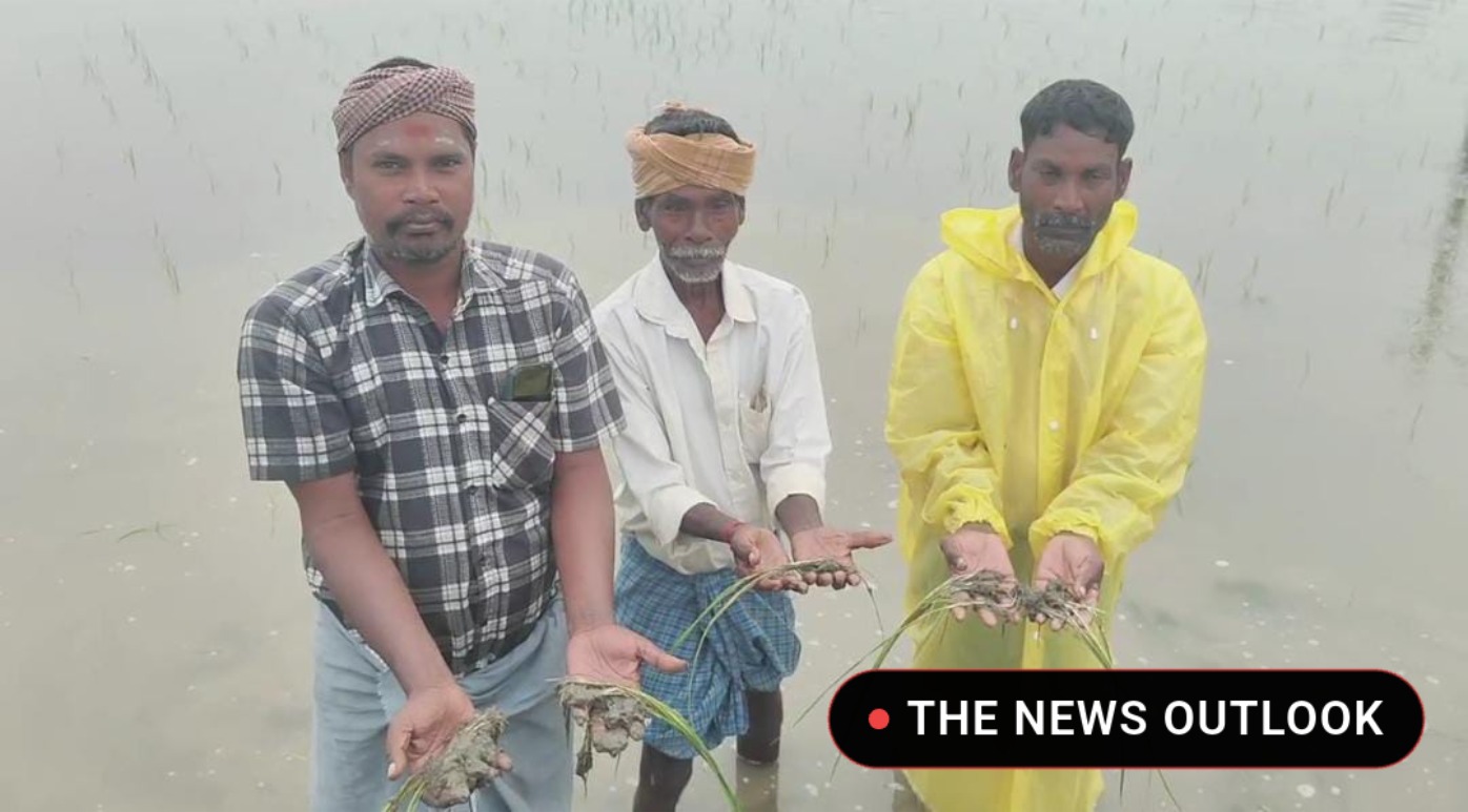 தொடர் கனமழை: 300 ஏக்கர் சம்பா பயிர்கள் நீரில் மூழ்கி சேதம்!