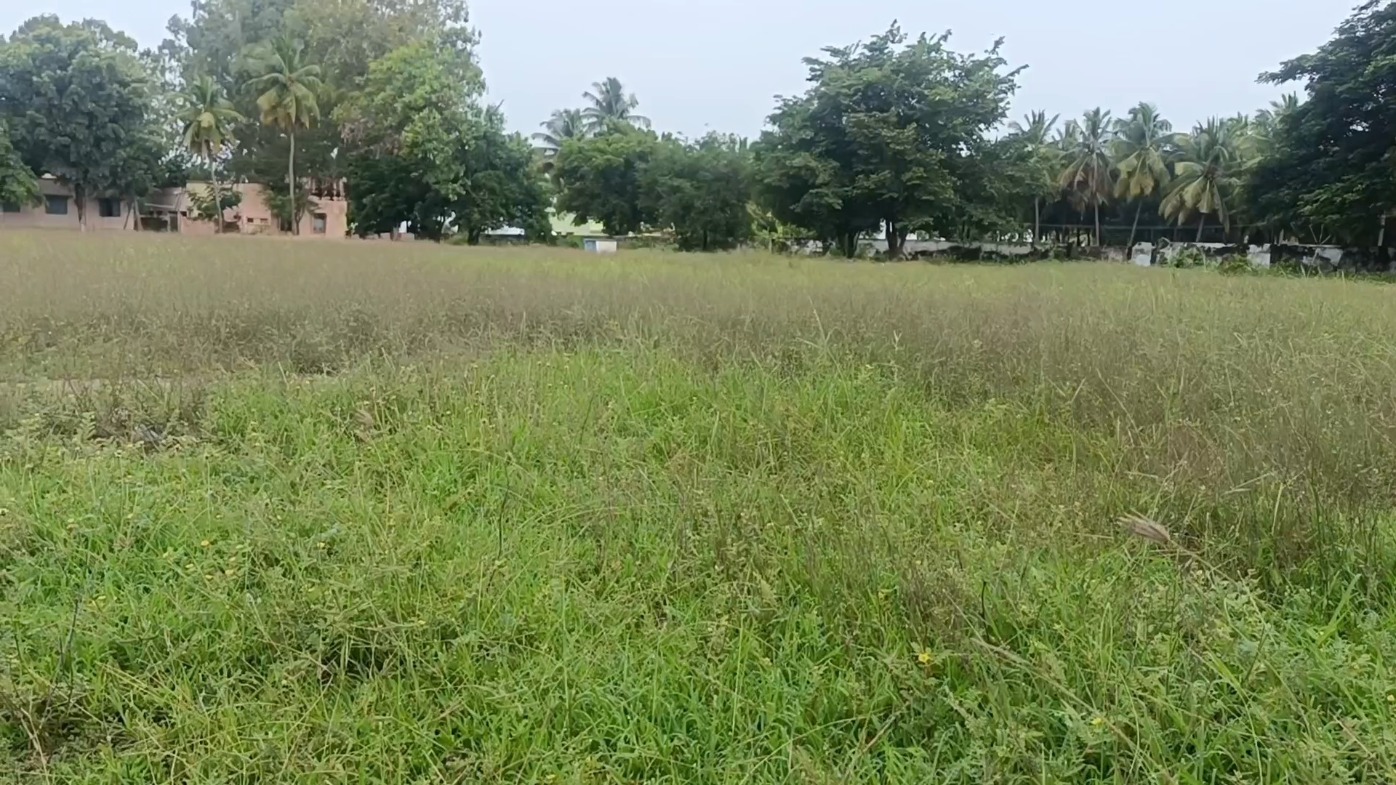 புதர்க்காடாக மாறிய அரசினர் பள்ளி விளையாட்டு மைதானம்: மாணவர்கள் பாதுகாப்பு குறித்து பொதுமக்கள் அச்சம்