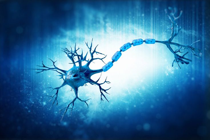 Spinal Muscular Atrophy (SMA) 