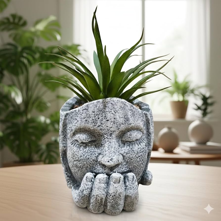 Decorative Face Planter with Artificial Succulent Plant