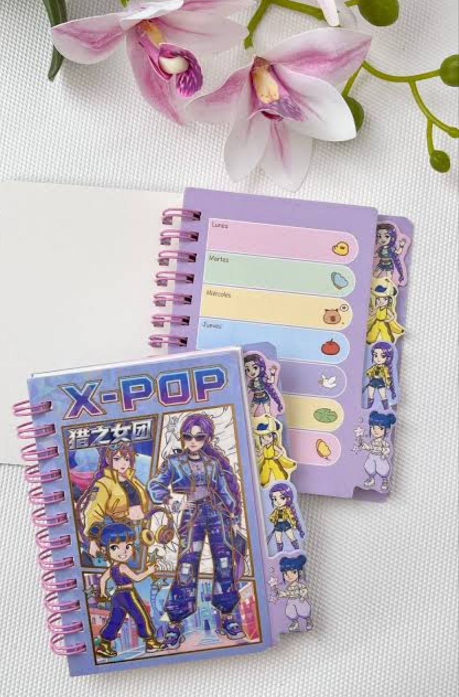 K-pop Demon Hunter small Diary