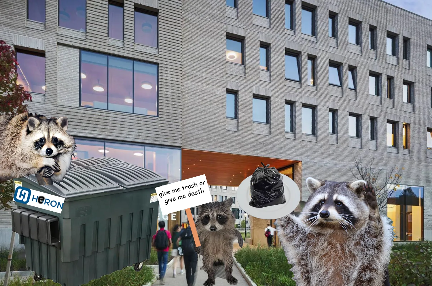 University Axes Trash Cans, Will Require Raccoons to Buy Dining Plan