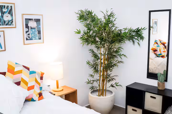 Bedroom corner with a bed, mirror, bedside lamp, and potted plant.