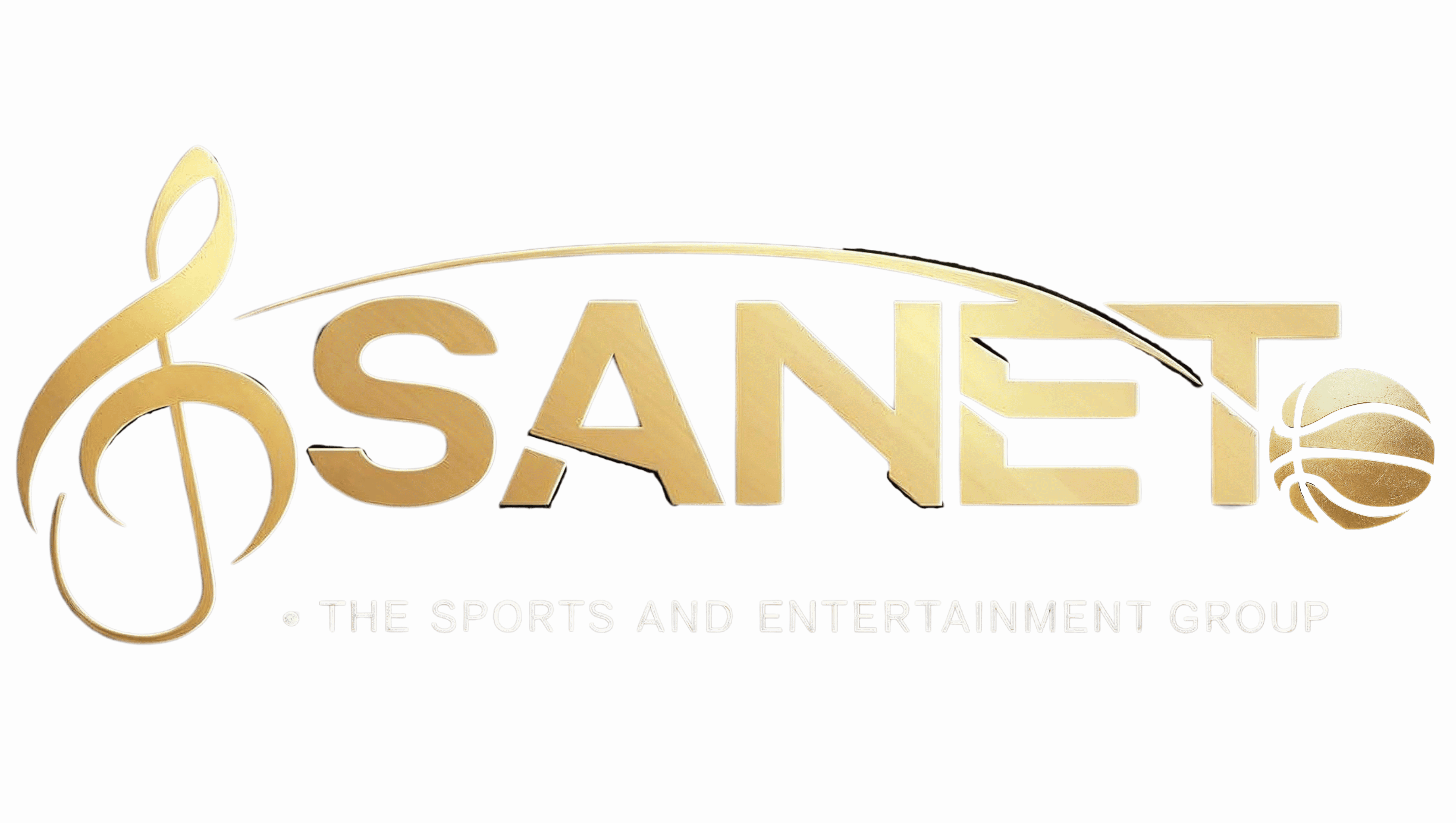 The Sanet Group Logo