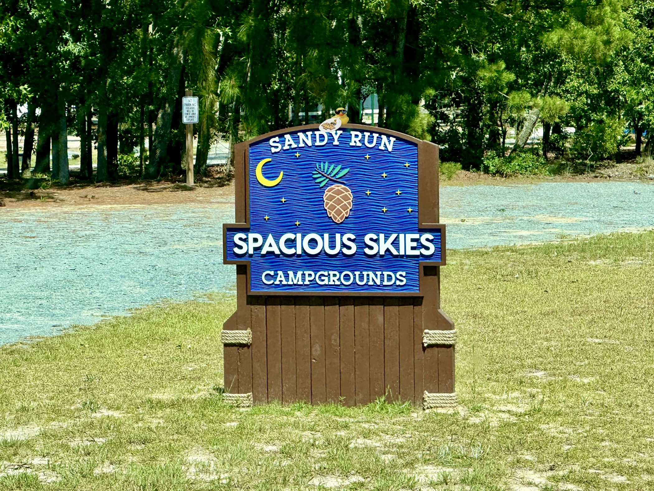 Shady Duck sighting: Dawn T., Spacious Skies Campground, NC