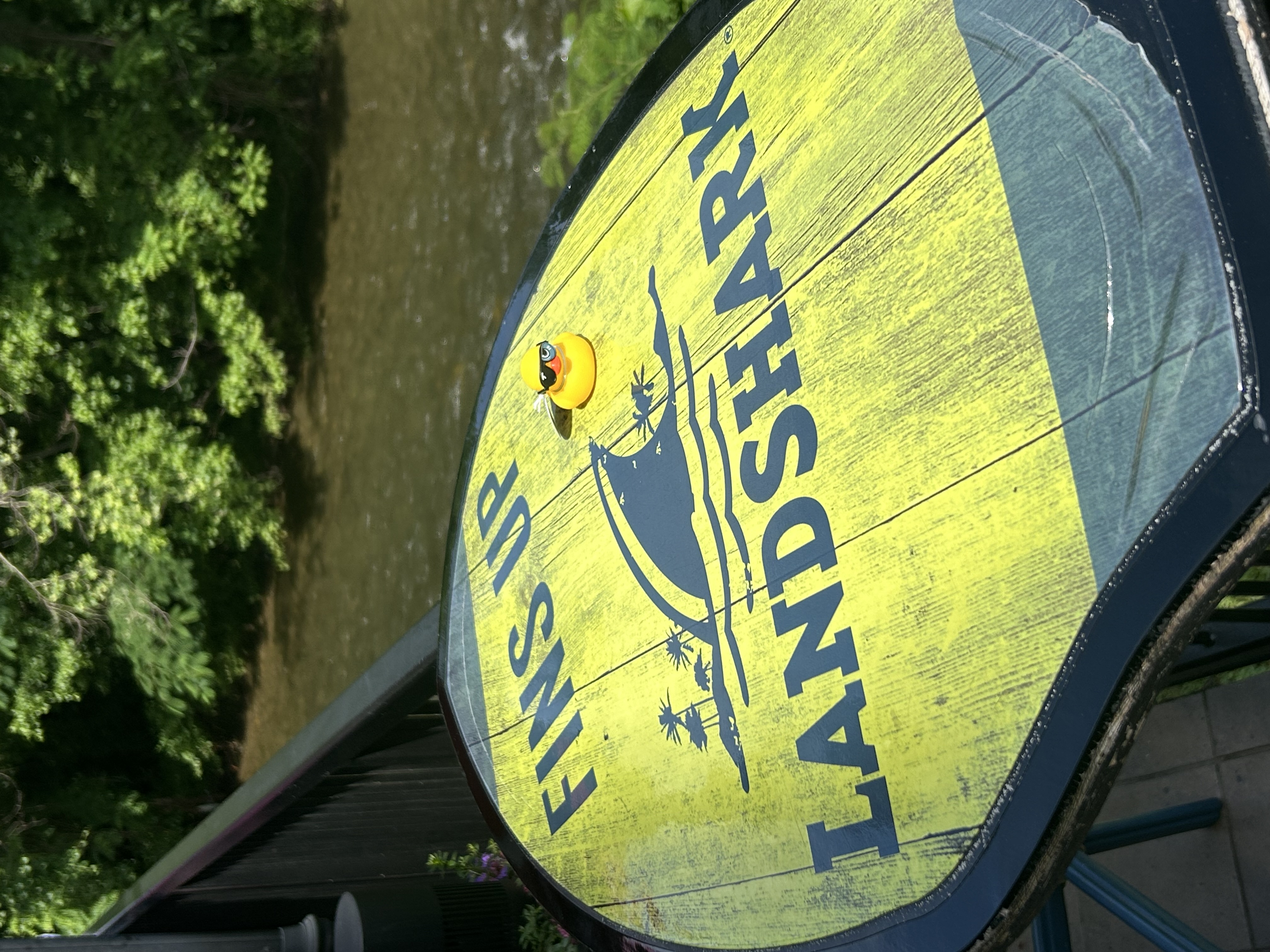 Shady Duck sighting: Brian Beehler, Seaford, NY