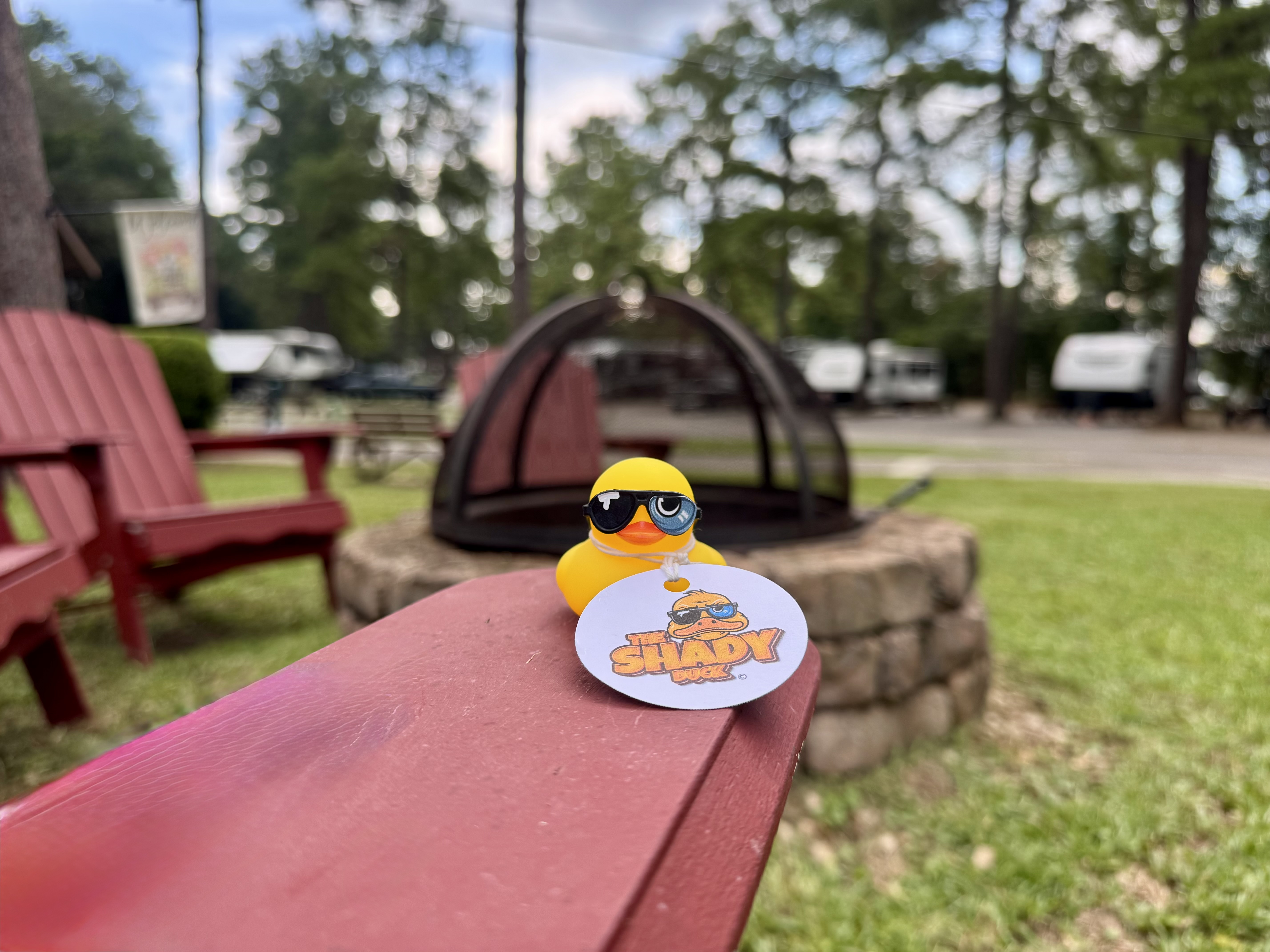 Shady Duck sighting: Leigh S., Tallahassee RV Park
