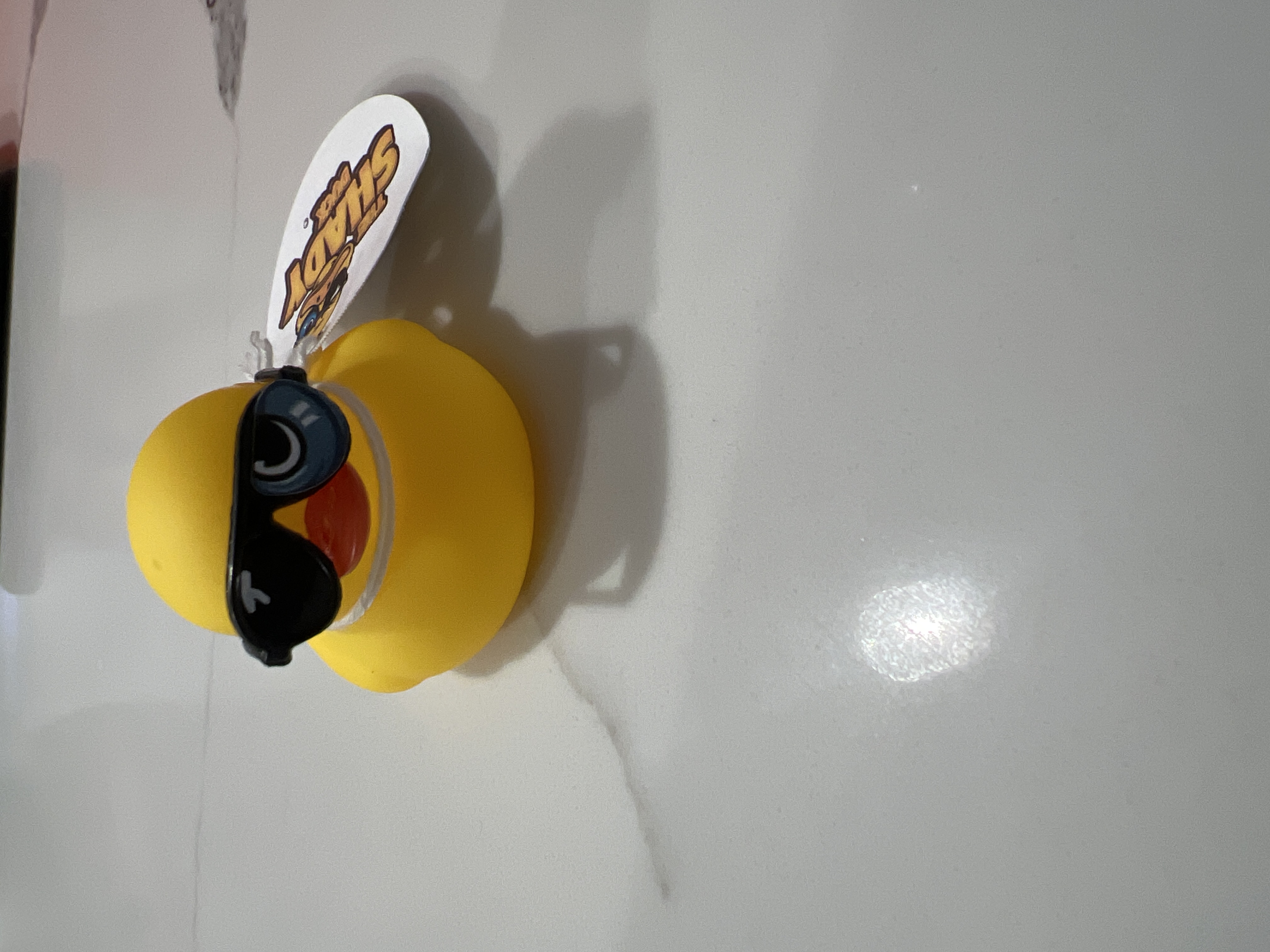 Shady Duck sighting: Sean C., Seaford, NY