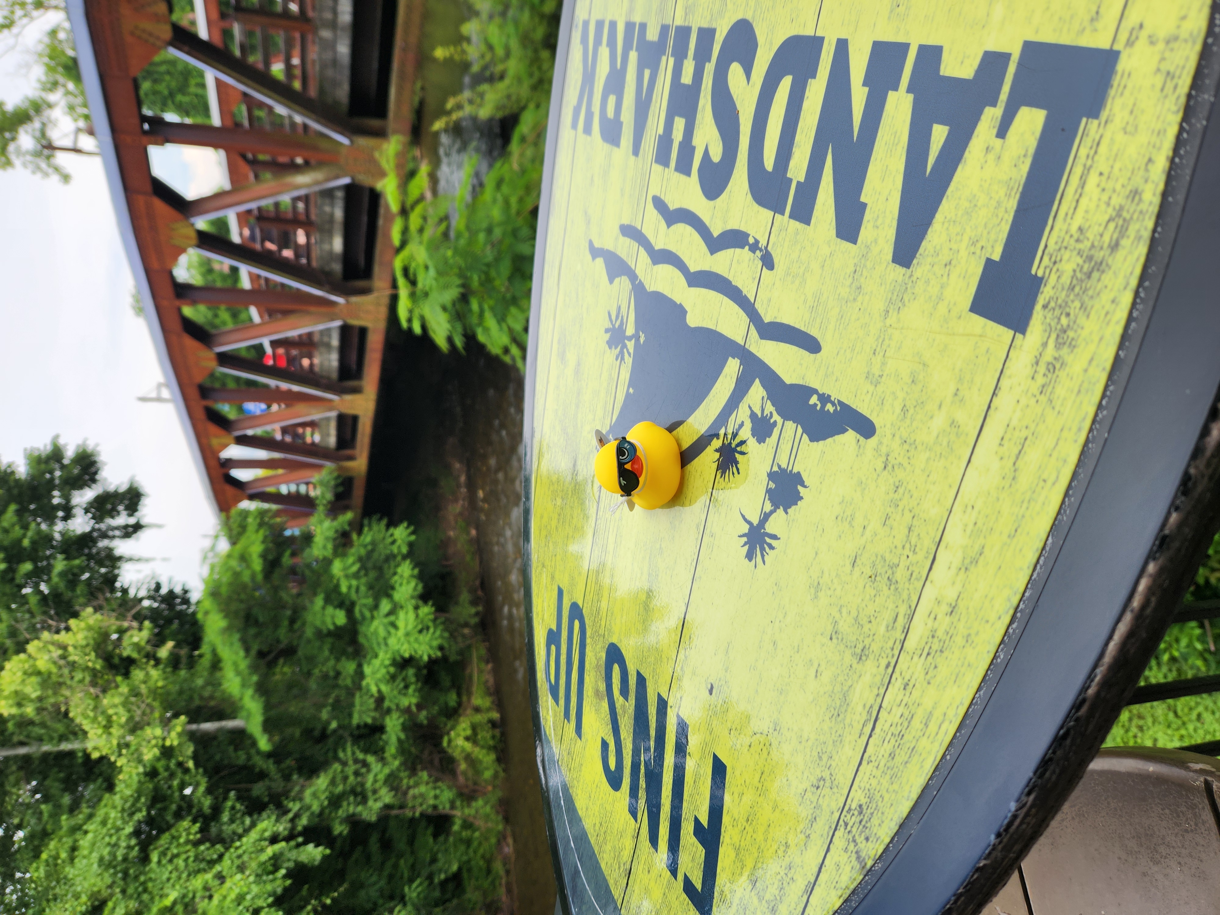 Shady Duck sighting: Sarah, The Island, Pigeon Forge, TN