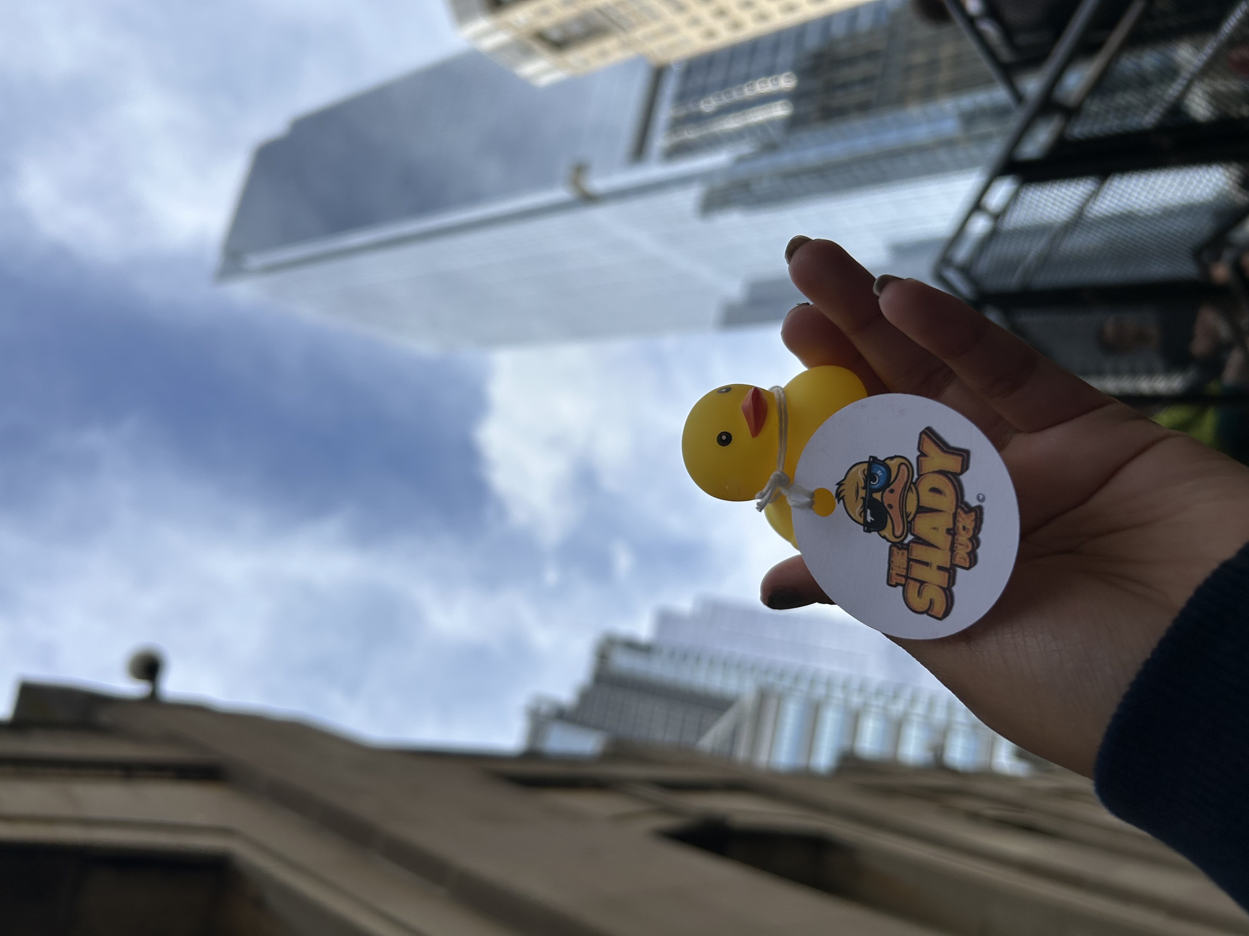 Shady Duck sighting: Jacqueline Martinez, New York, NY