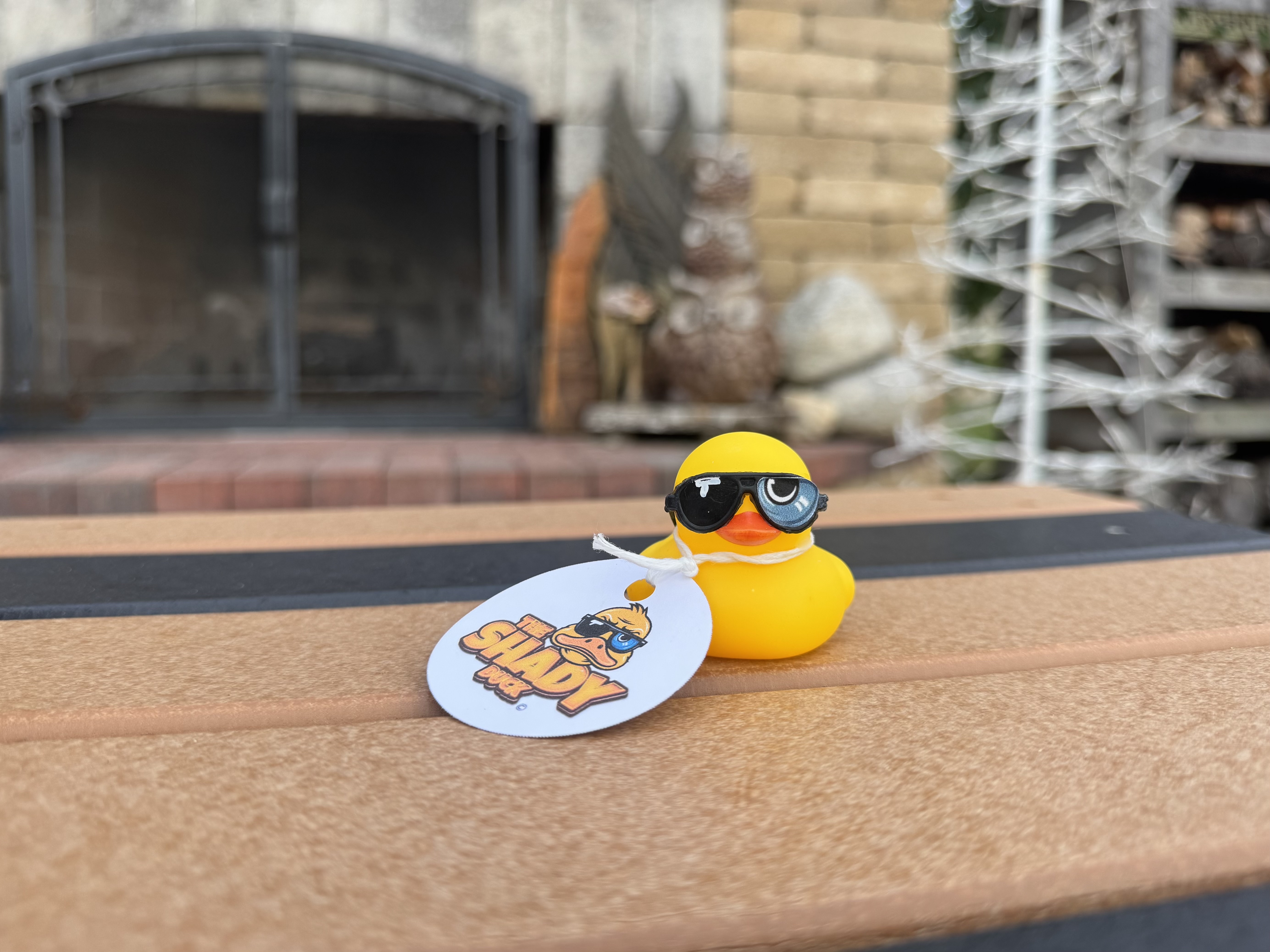 Shady Duck sighting: Leigh S., UcamP Express RV Park