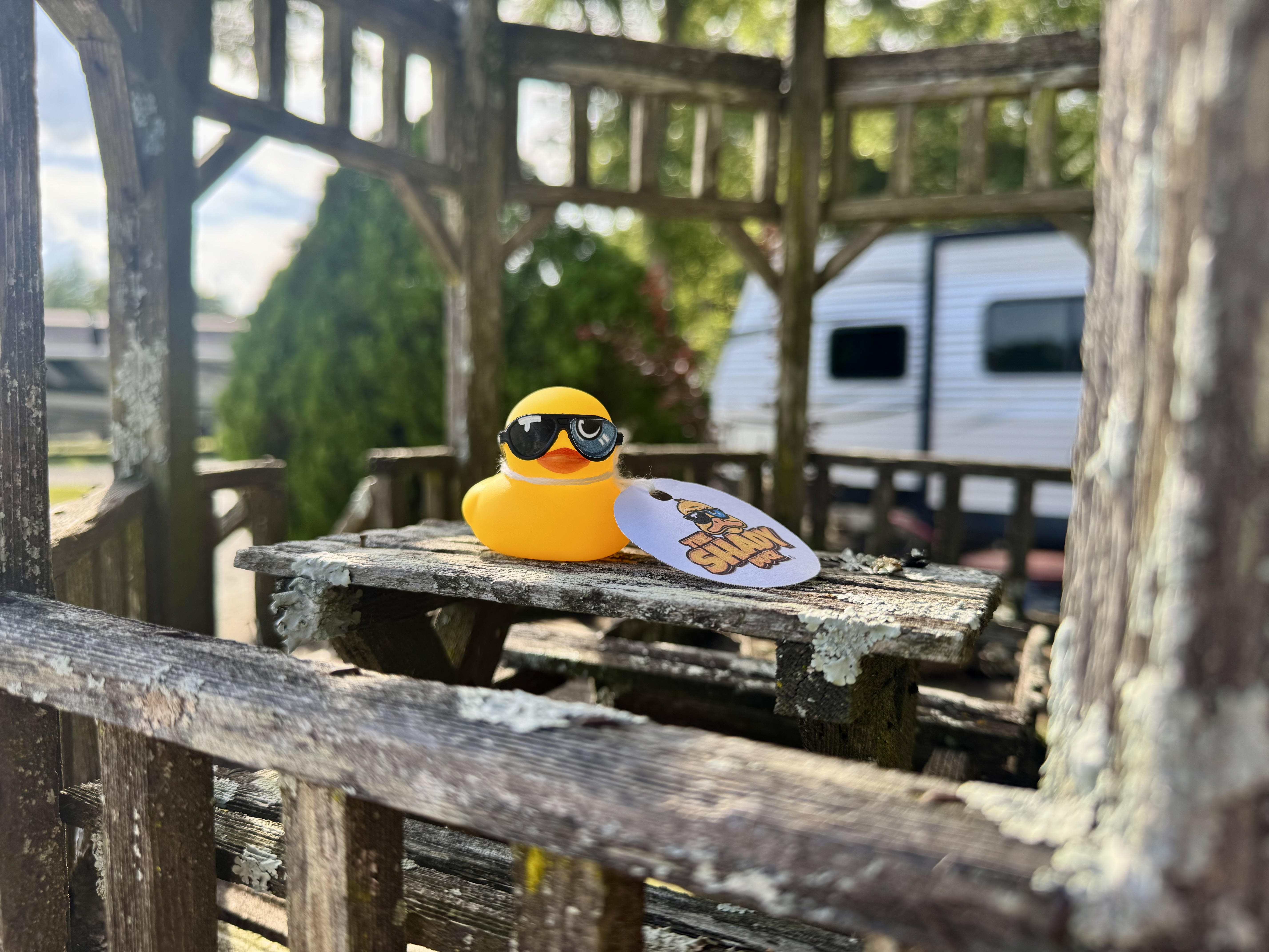 Shady Duck sighting: Holden S., Twin Oaks RV Park