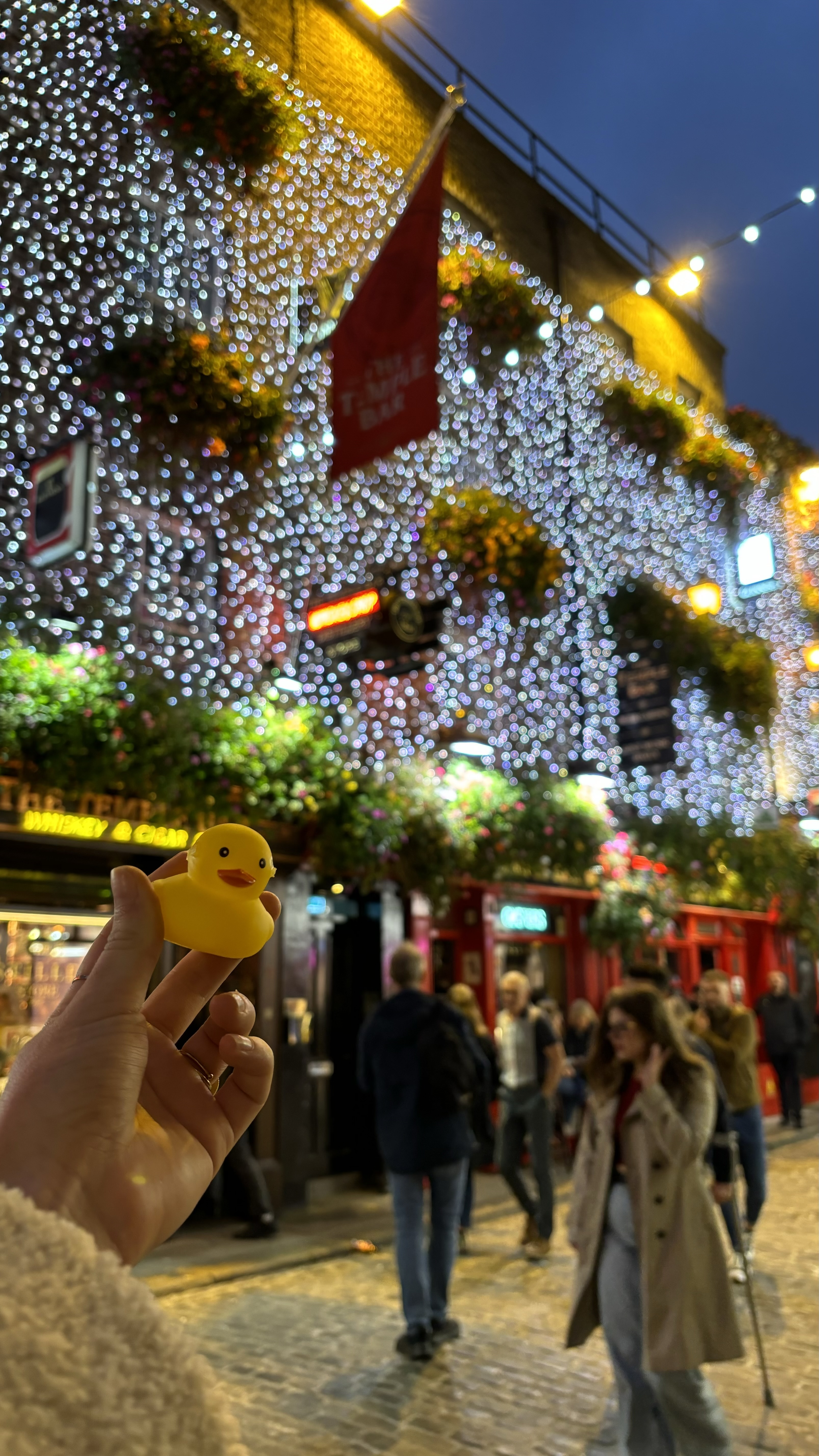 Shady Duck sighting: Audrey A., Dublin, Ireland