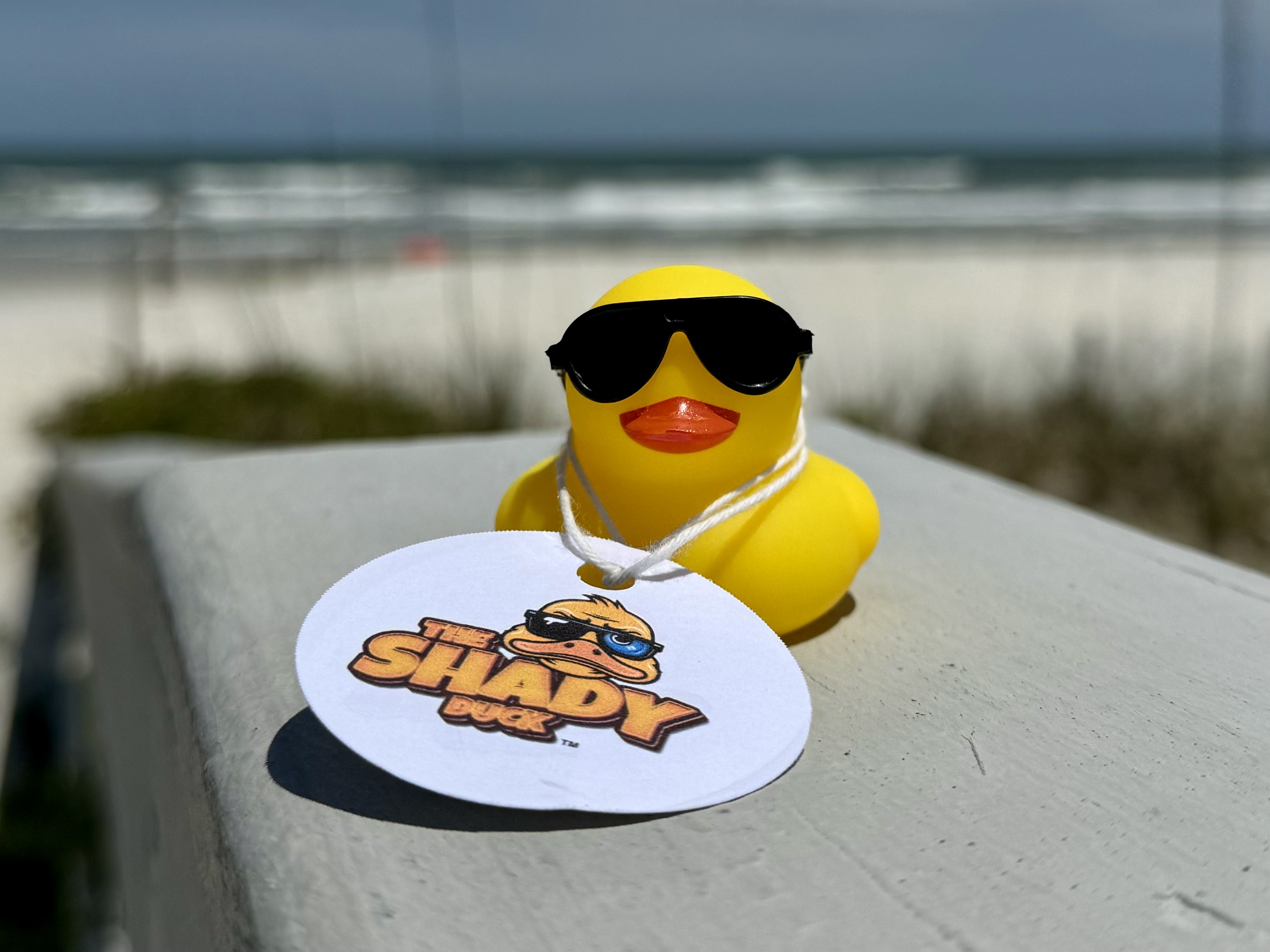 Shady Duck sighting: Holden S., St. Augustine Beach, FL