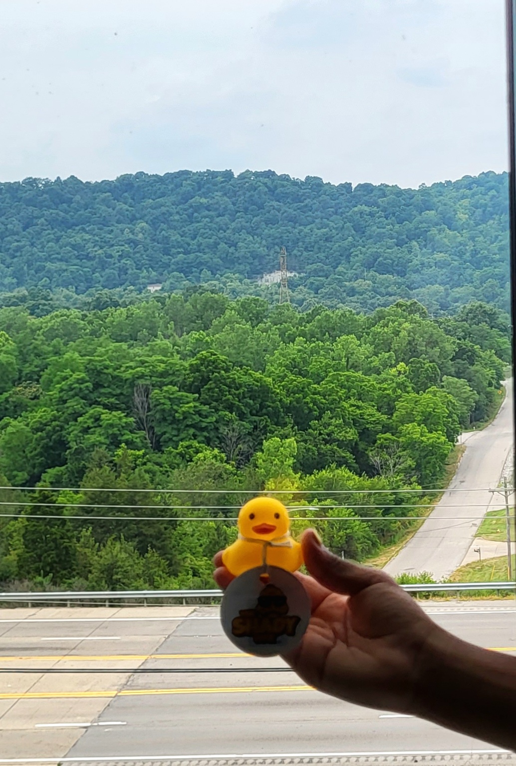 Shady Duck sighting: Jamillia T., Covington, KY