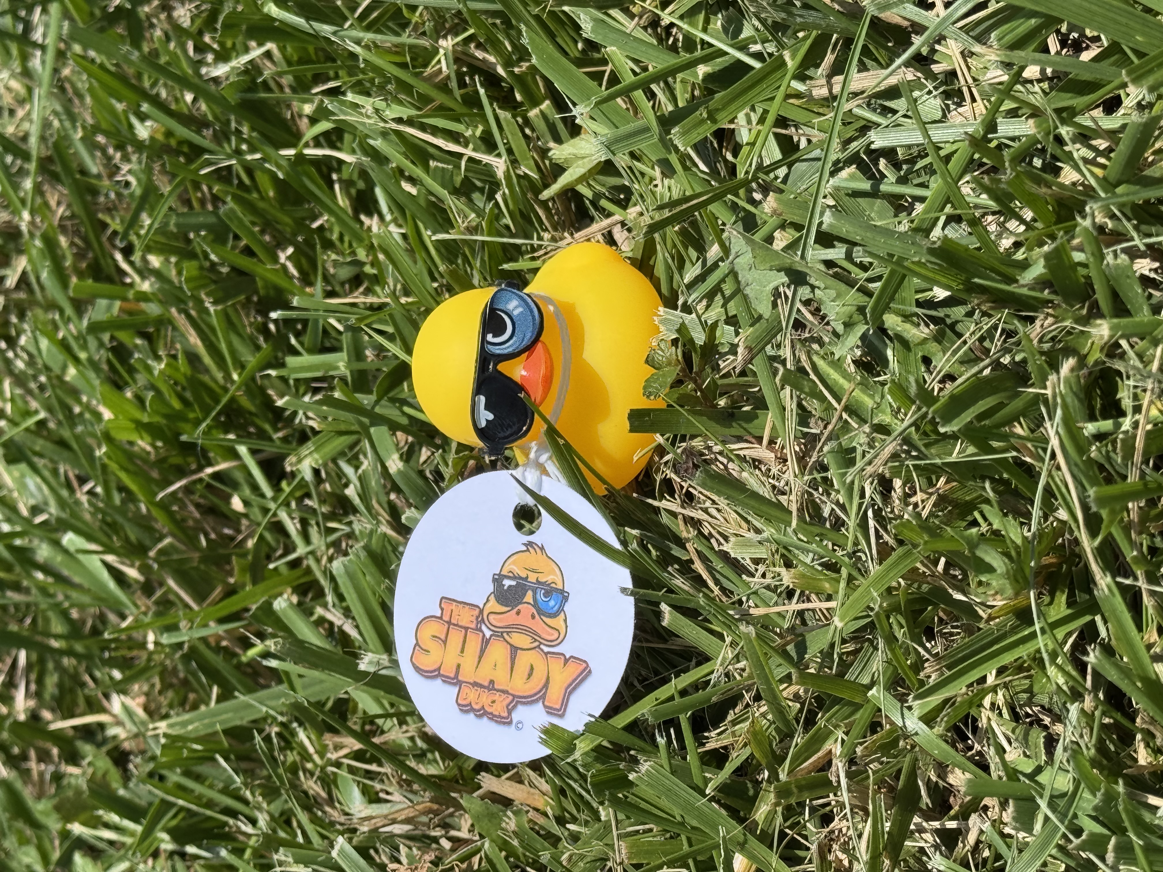 Shady Duck sighting: Eddie S, Sulphur, KY