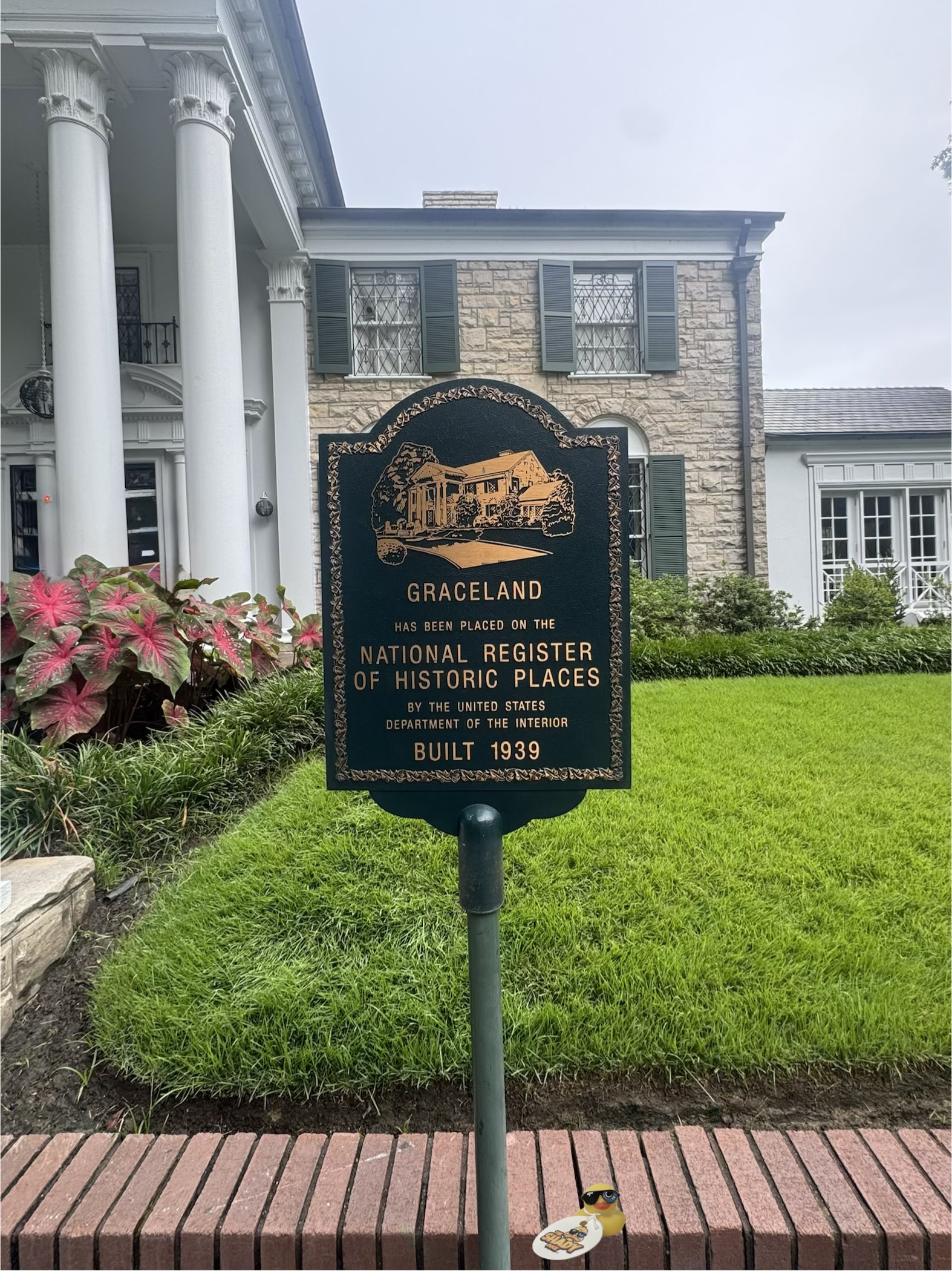 Shady Duck sighting: Leigh S., Graceland