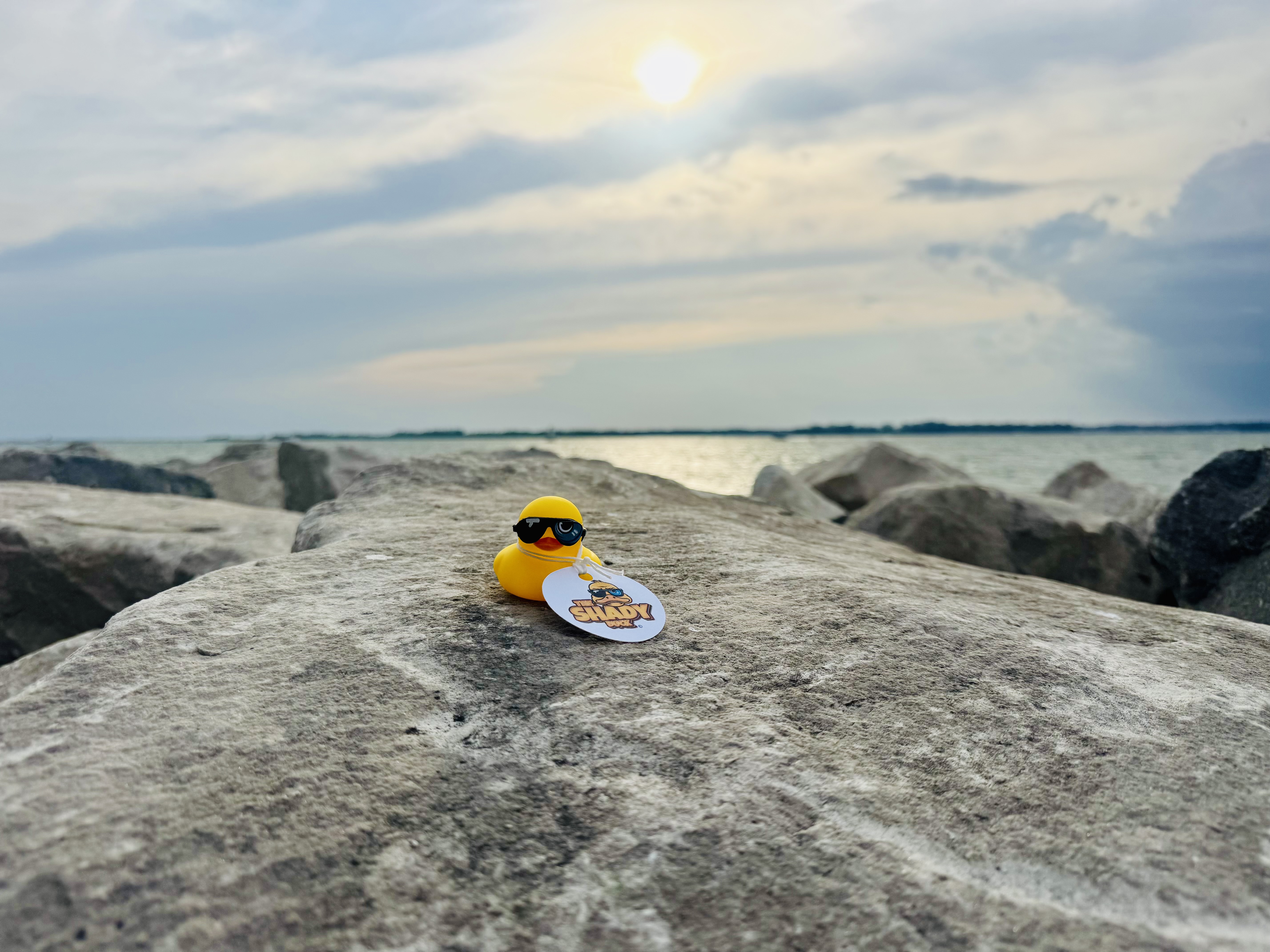 Shady Duck sighting: Nate T., Sandusky, OH