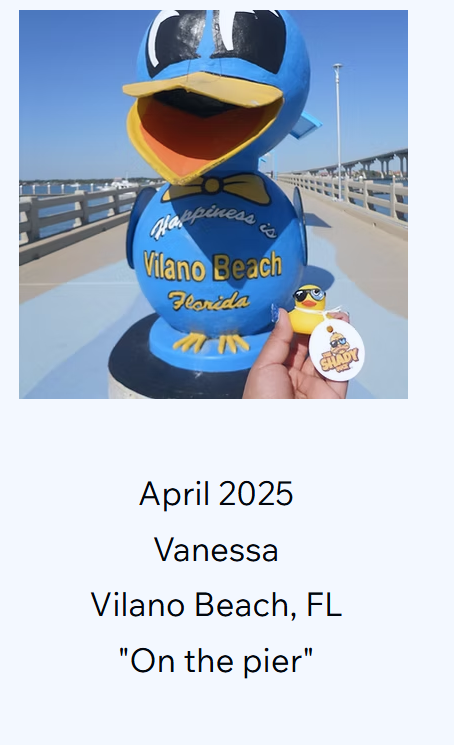 Shady Duck sighting: Vanessa, Vilano Beach, FL