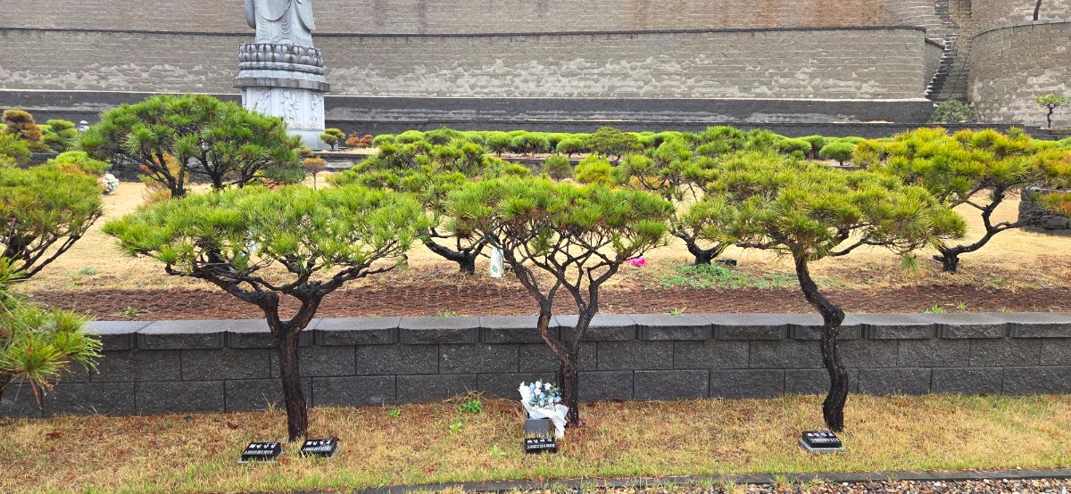 홍천 팔봉사 유일추모공원 수목장 사진