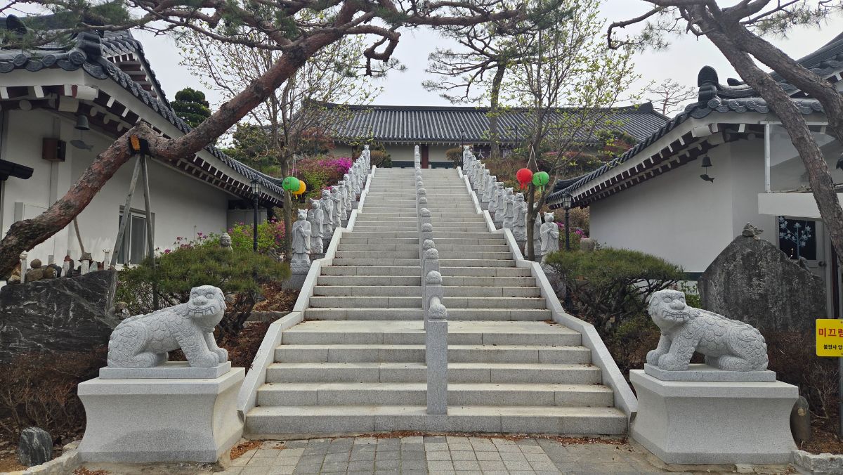양지수목장 사진