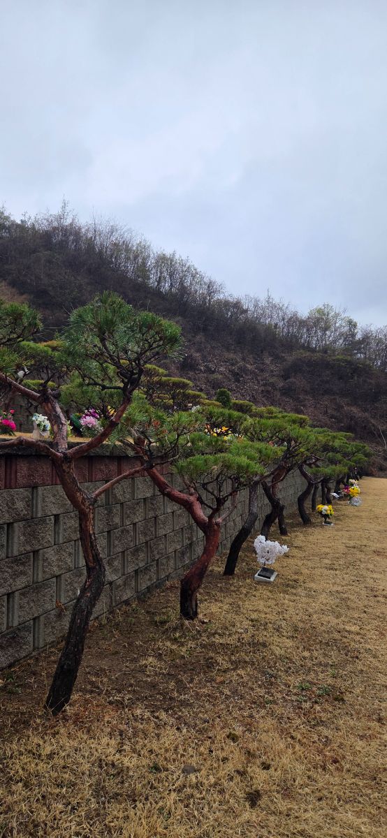 무궁화공원묘원 사진