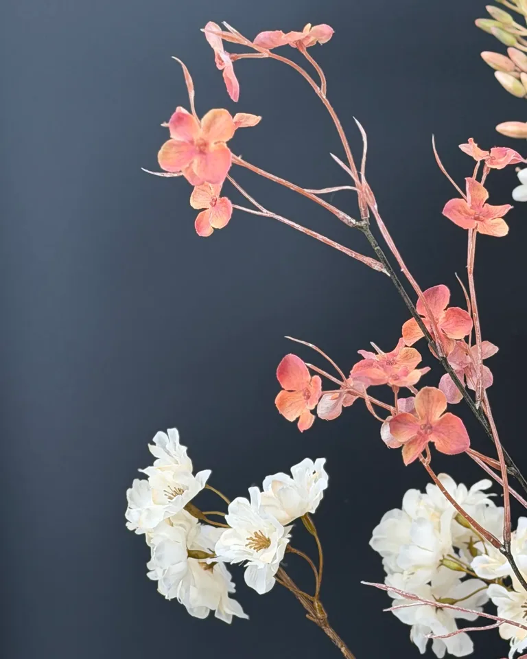 Zalmkleurige bloesemtak met crème bloemen tegen een donkere achtergrond, detail van Marise.