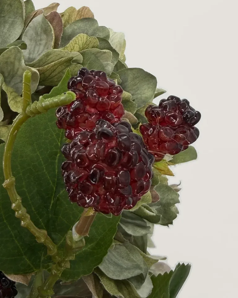 Detail van de burgundy bramen met groene hortensia in boeket Rubina