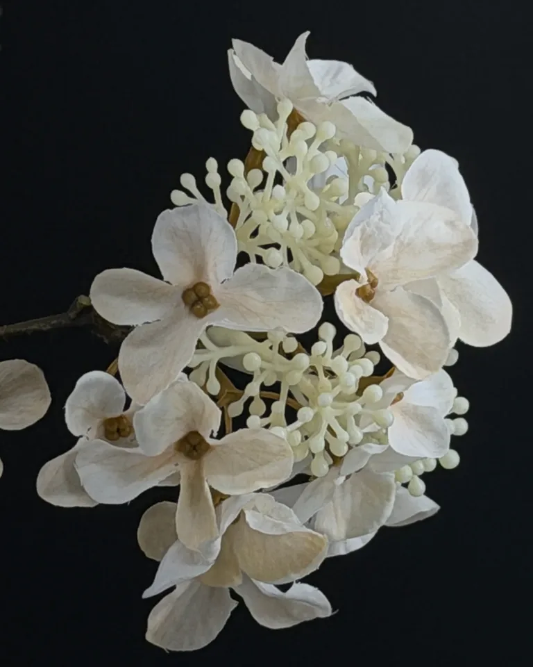 Detail van de crème-witte hortensia’s van Alvara