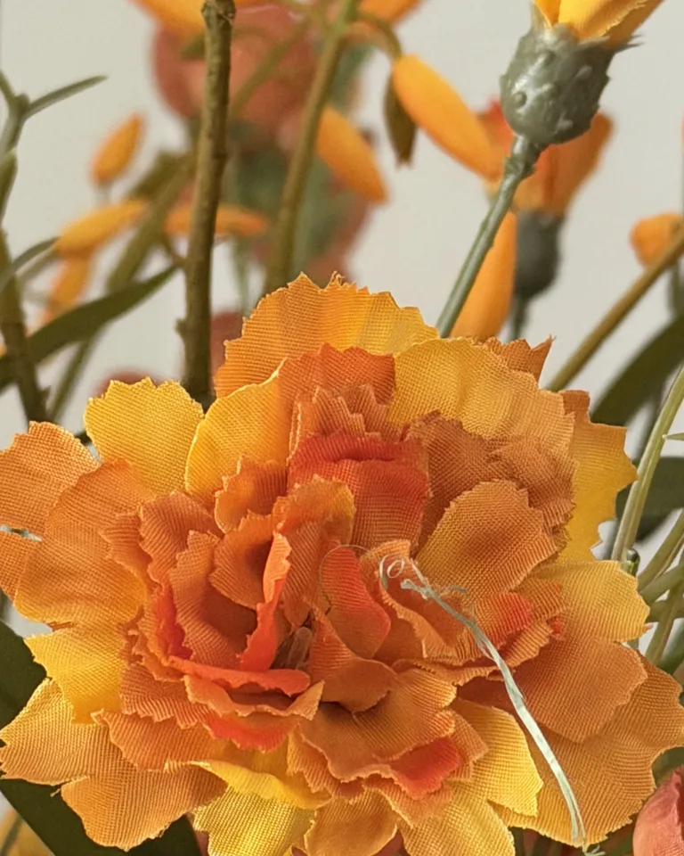 Close-up van een oranje bloem met fijne bloembladdetails.