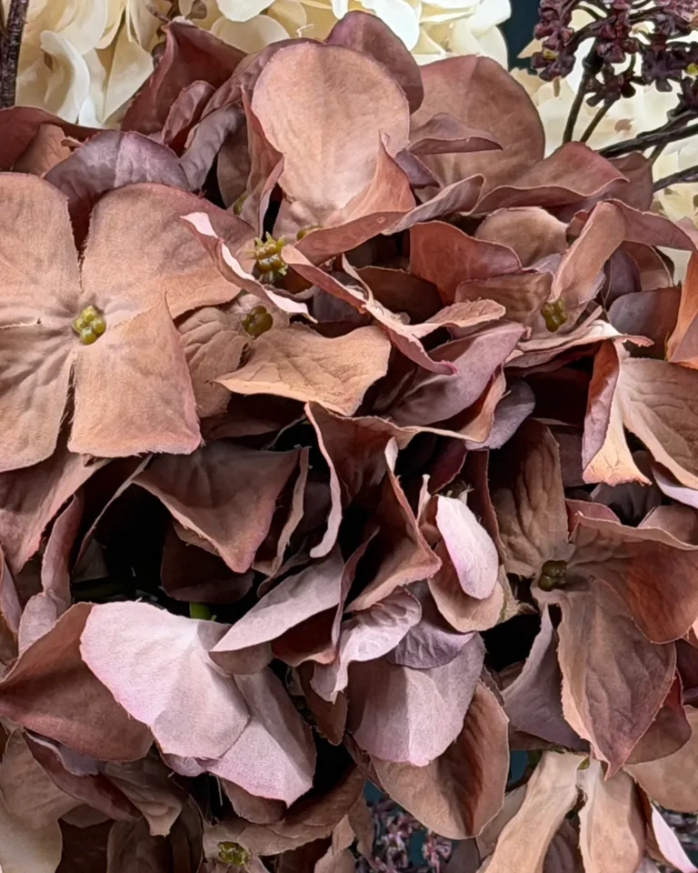 Detail van de bruine hortensia in boeket Cassia