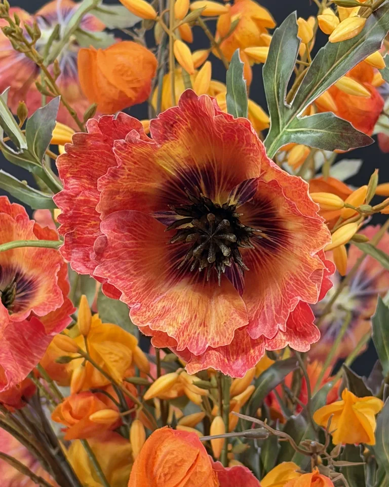 Detail van groene takken en oranje bloemaccenten in Calista