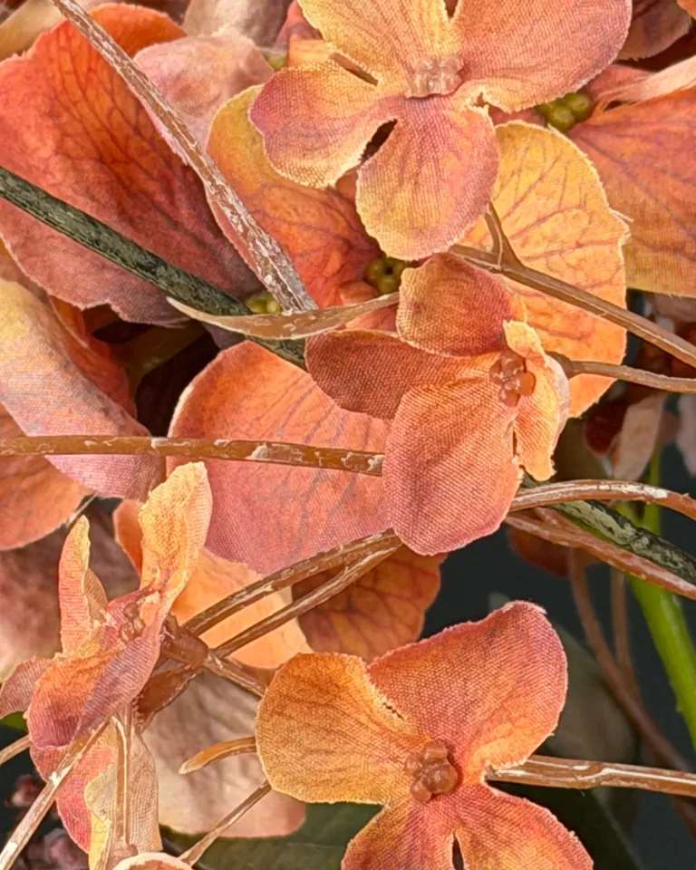 Kleine oranje hortensiabloesems en fijne takken in boeket Ambra.