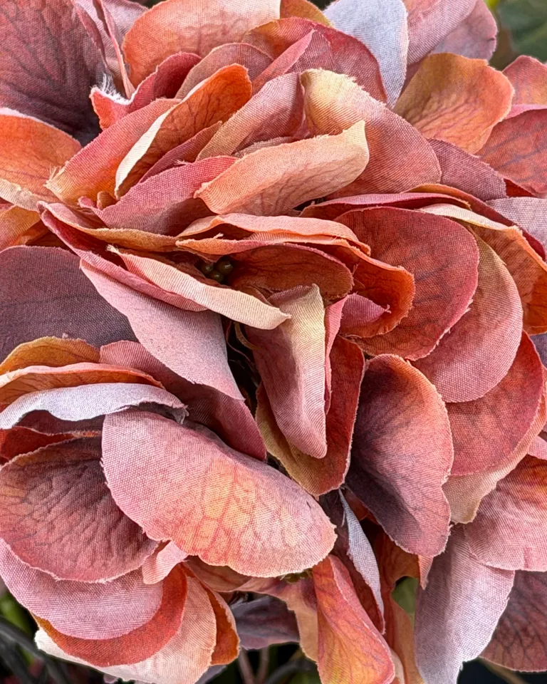 Detail van de terracotta en oudroze hortensiabloemblaadjes in boeket Ambra.