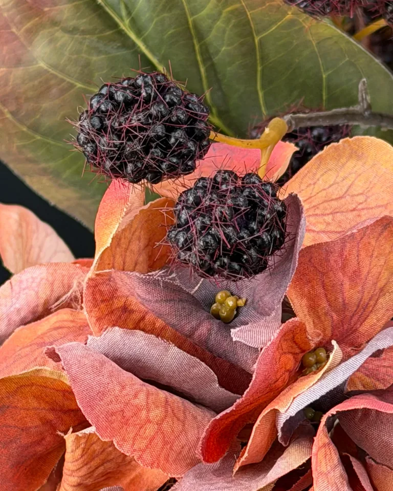 Bordeauxrode bramen tussen de terracottakleurige hortensia’s van Ambra.