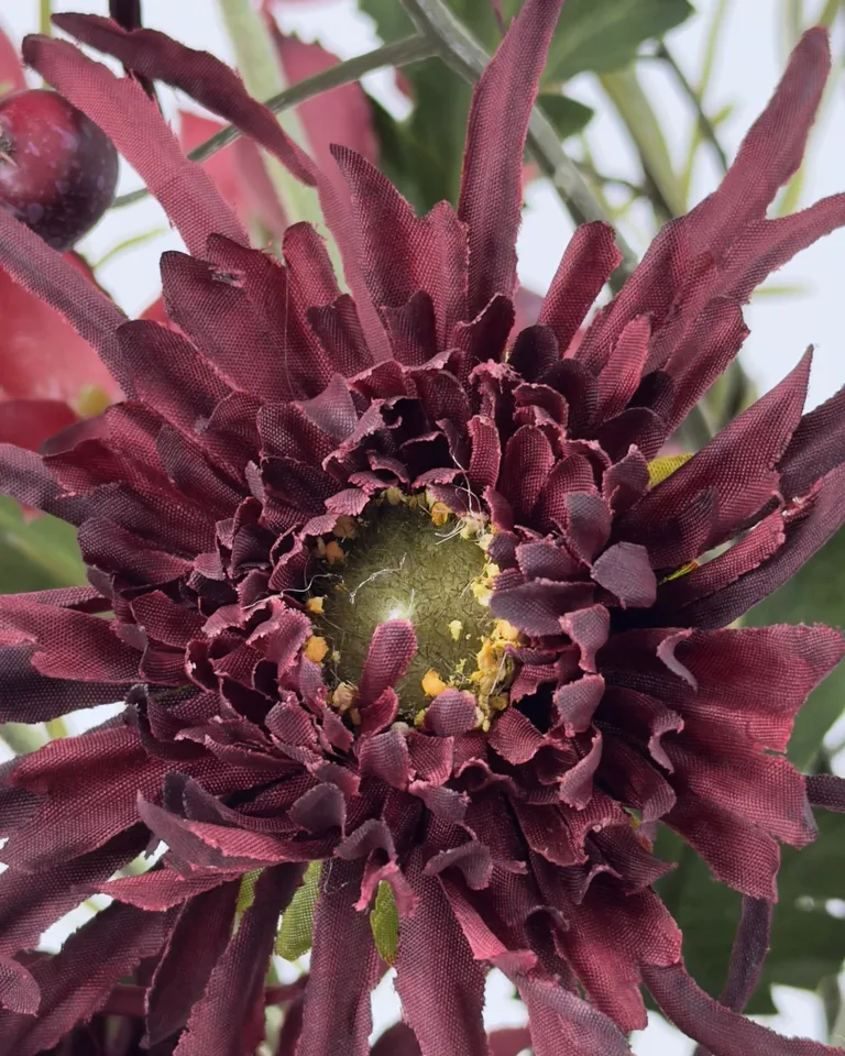 Detail van een donkere bordeaux bloem met fijne bloemblaadjes in boeket Liora.