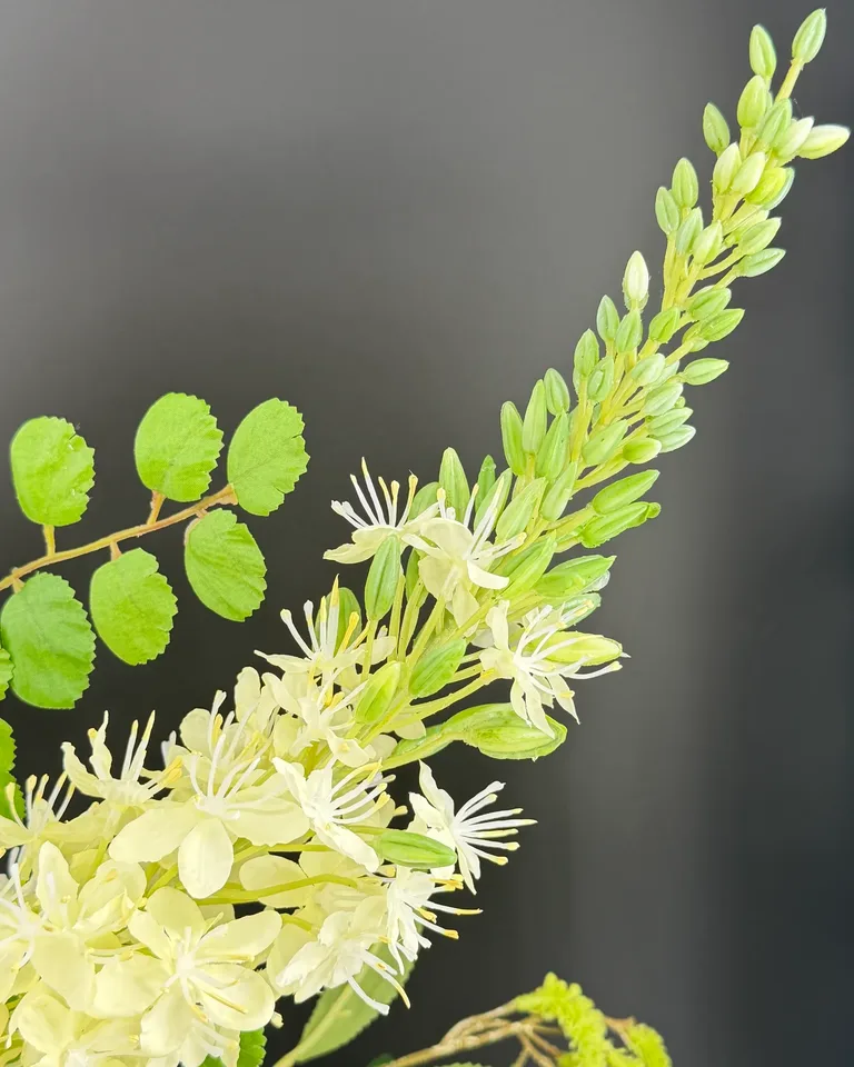 Detail van de lichte opgaande bloemaren boven de hortensia’s van boeket Nerine.