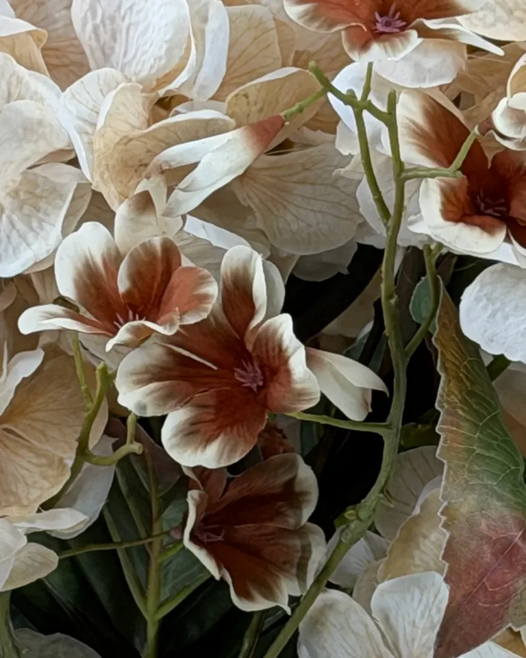 Crème hortensiablaadjes, bruin-crème begoniabloemen en groen blad in boeket Celeste.