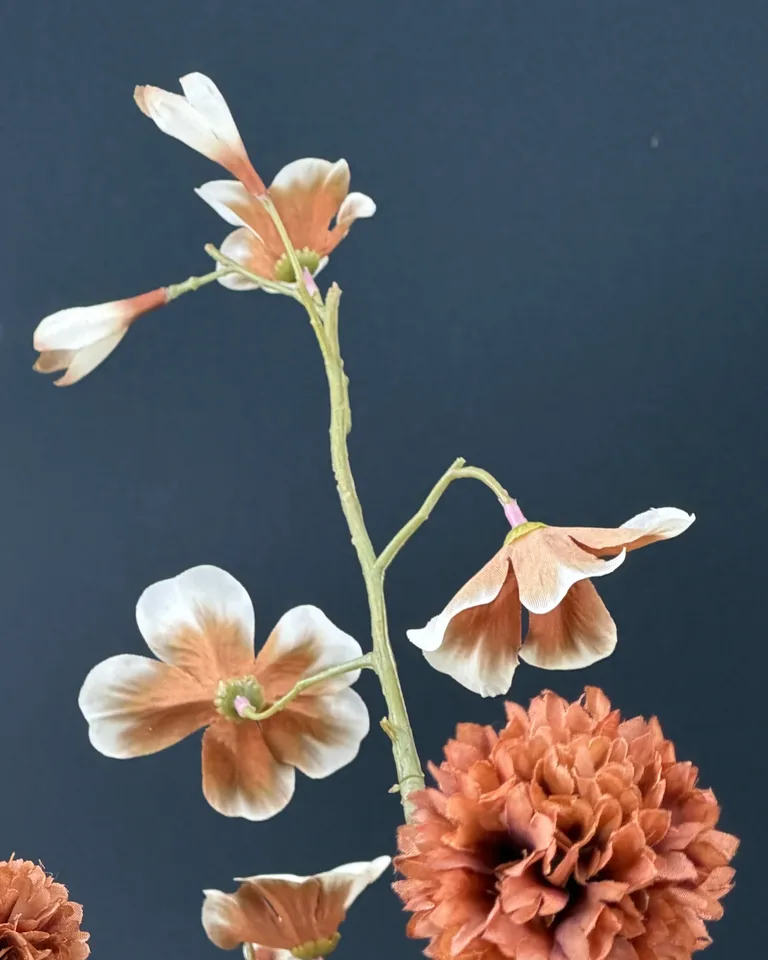 Detail van de bruin-crème begoniatak en bruine korenbloem in boeket Celeste.