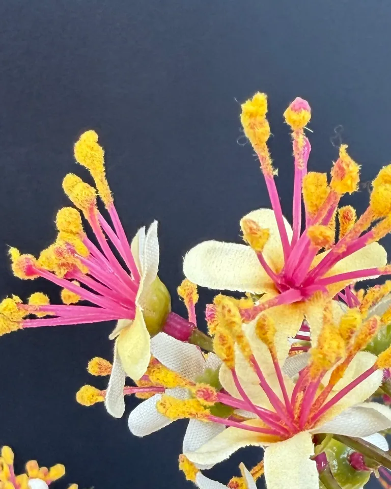 Detailfoto van Rosa boeket met zalmroze rozen en fijne bloemen.