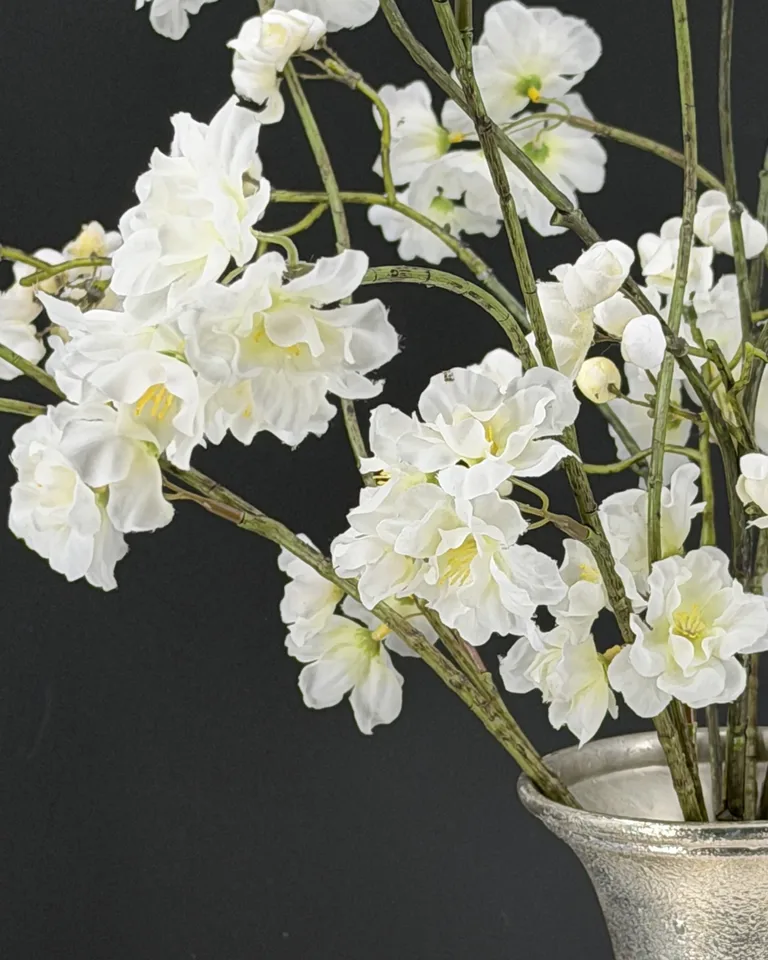 Livia detail van een vol cluster witte bloesem met geelgroene harten