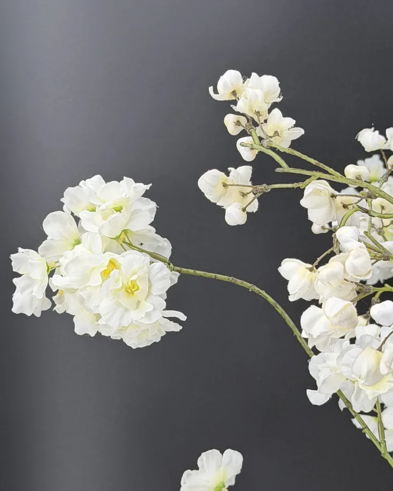 Livia detail van witte bloesemtakken met open bloemen en ronde knoppen