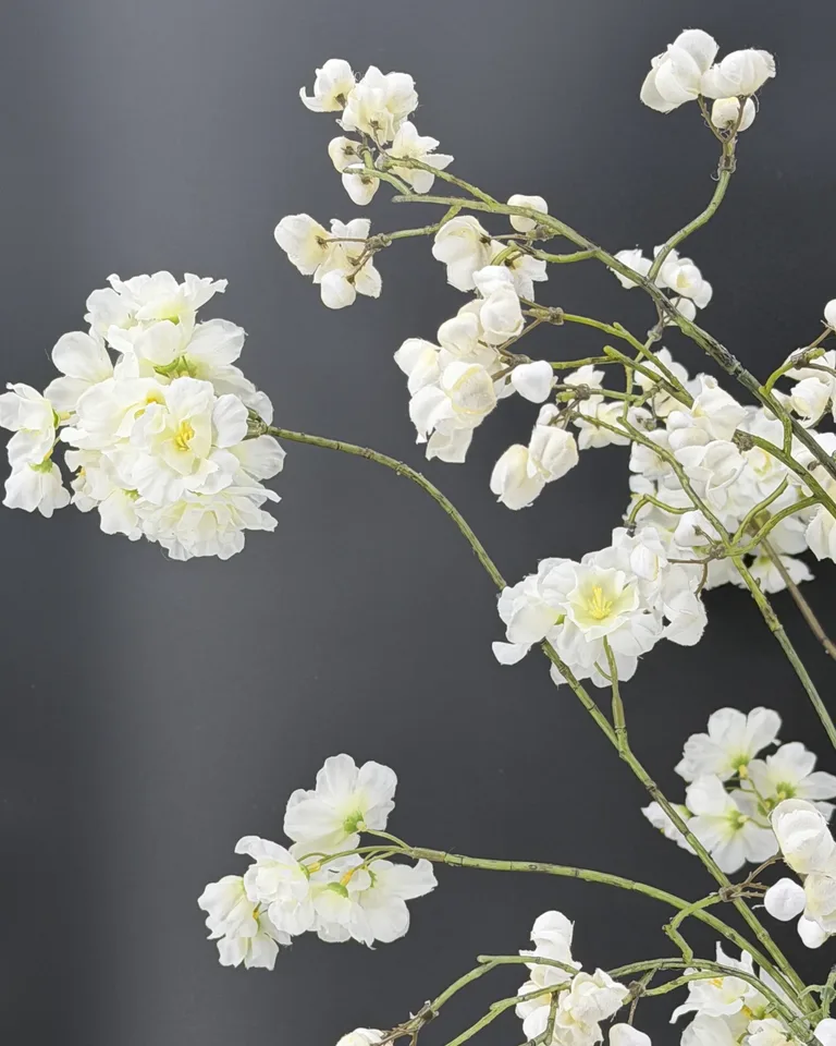 Livia detail van een witte bloesemtak met meerdere bloemclusters