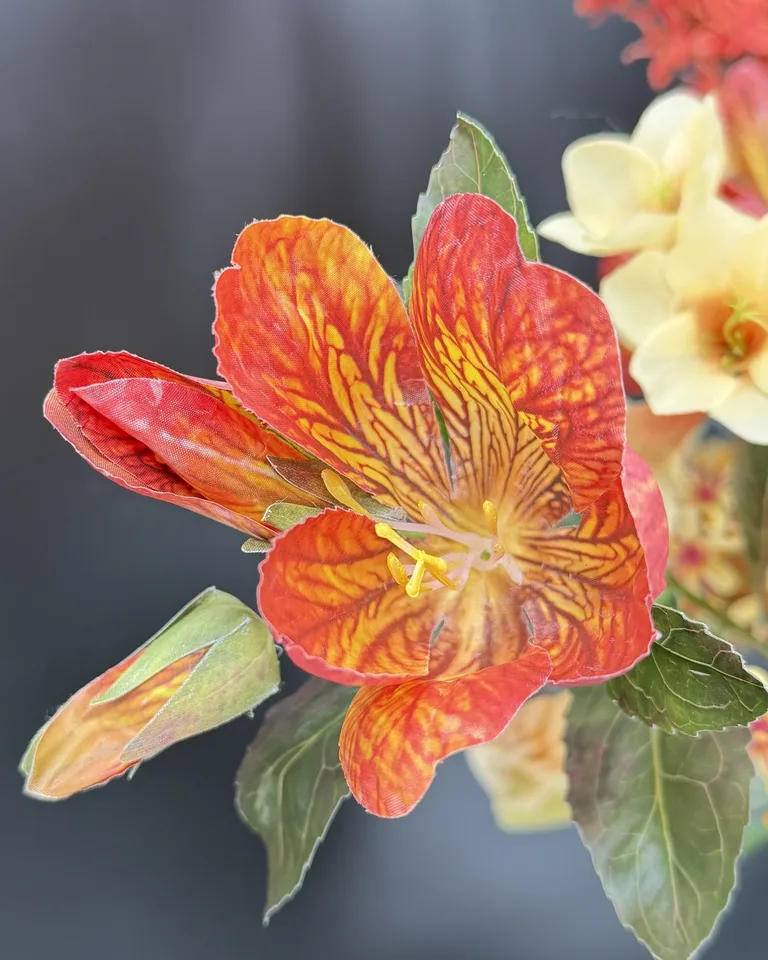 Detail van een uitgesproken rood-oranje bloem met geel patroon in Solara