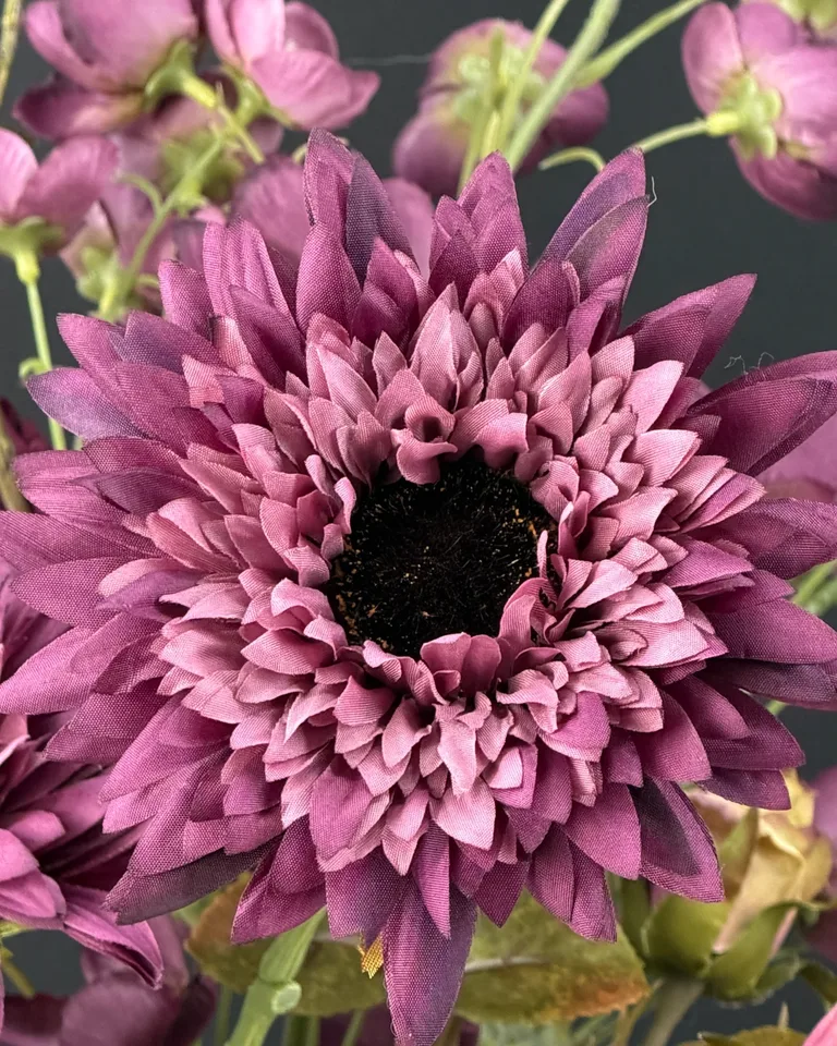 Close-up van de paarse Helianthus met donker bloemhart in boeket Violetta.