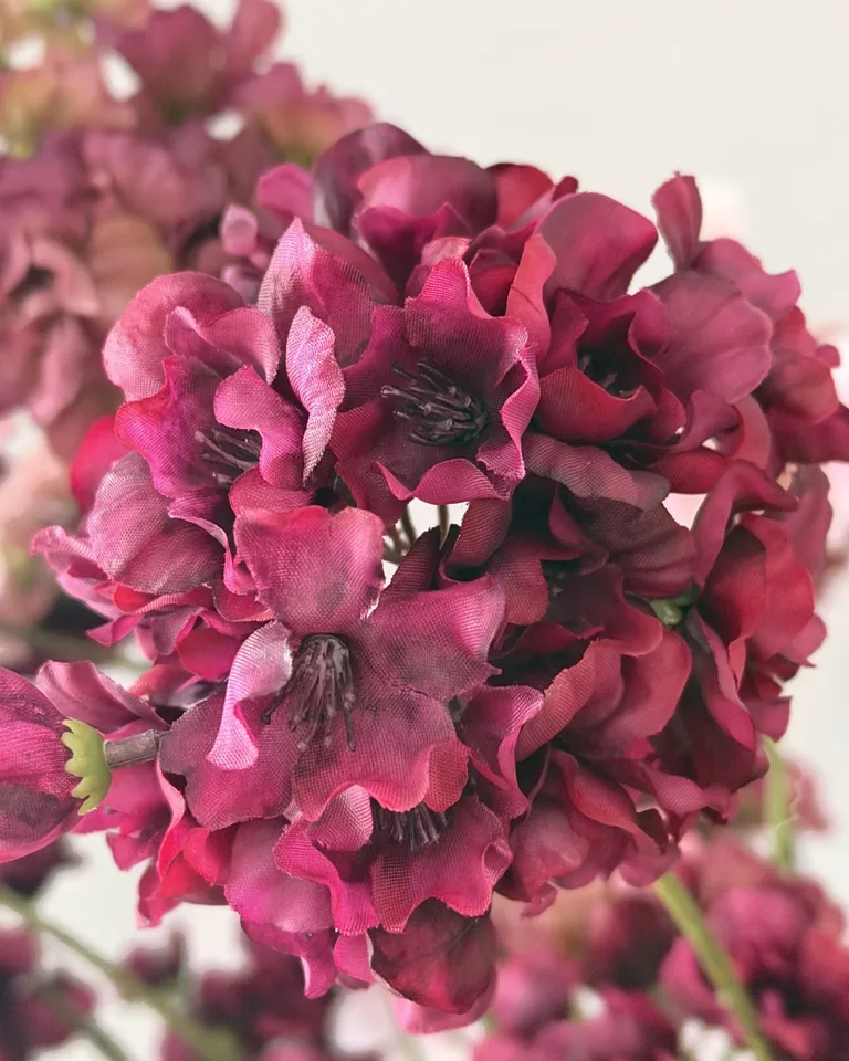 Zoya. Een luchtig boeket met zachtroze en bordeauxrode bloemtrossen.